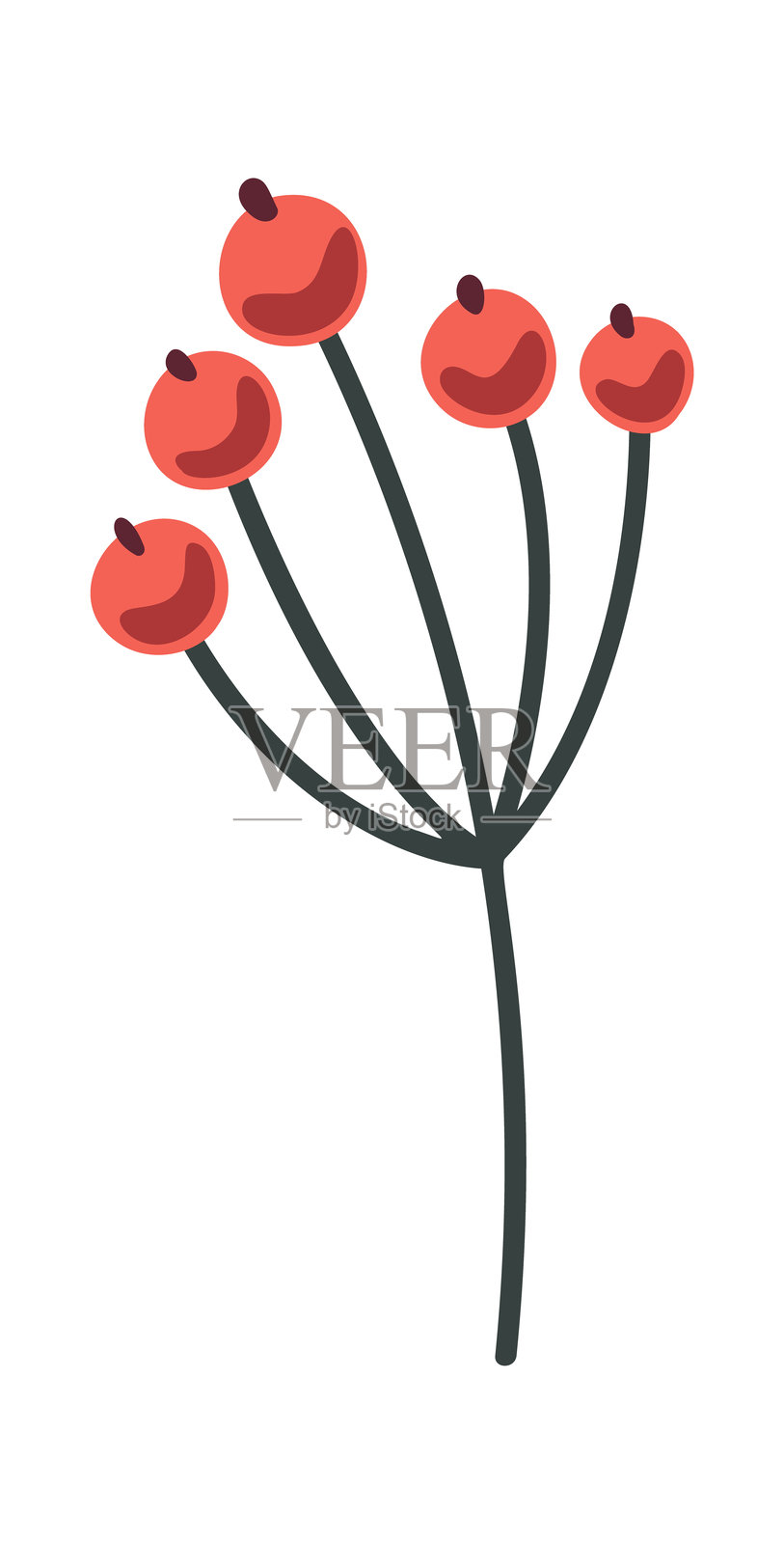 红色山楂果圣诞装饰品插画图片素材