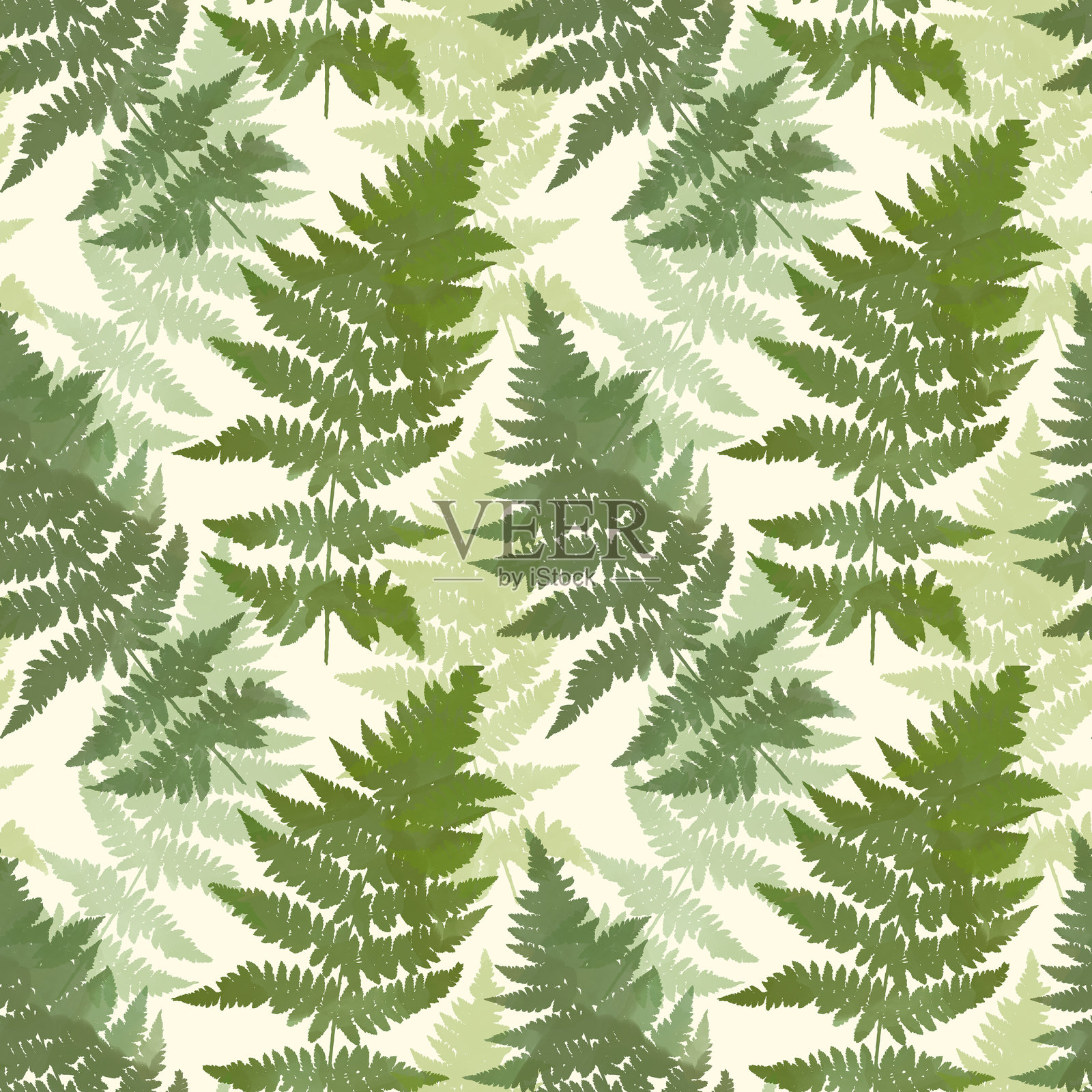 蕨类植物的花卉水彩图案。无缝的森林植物图案。插画图片素材