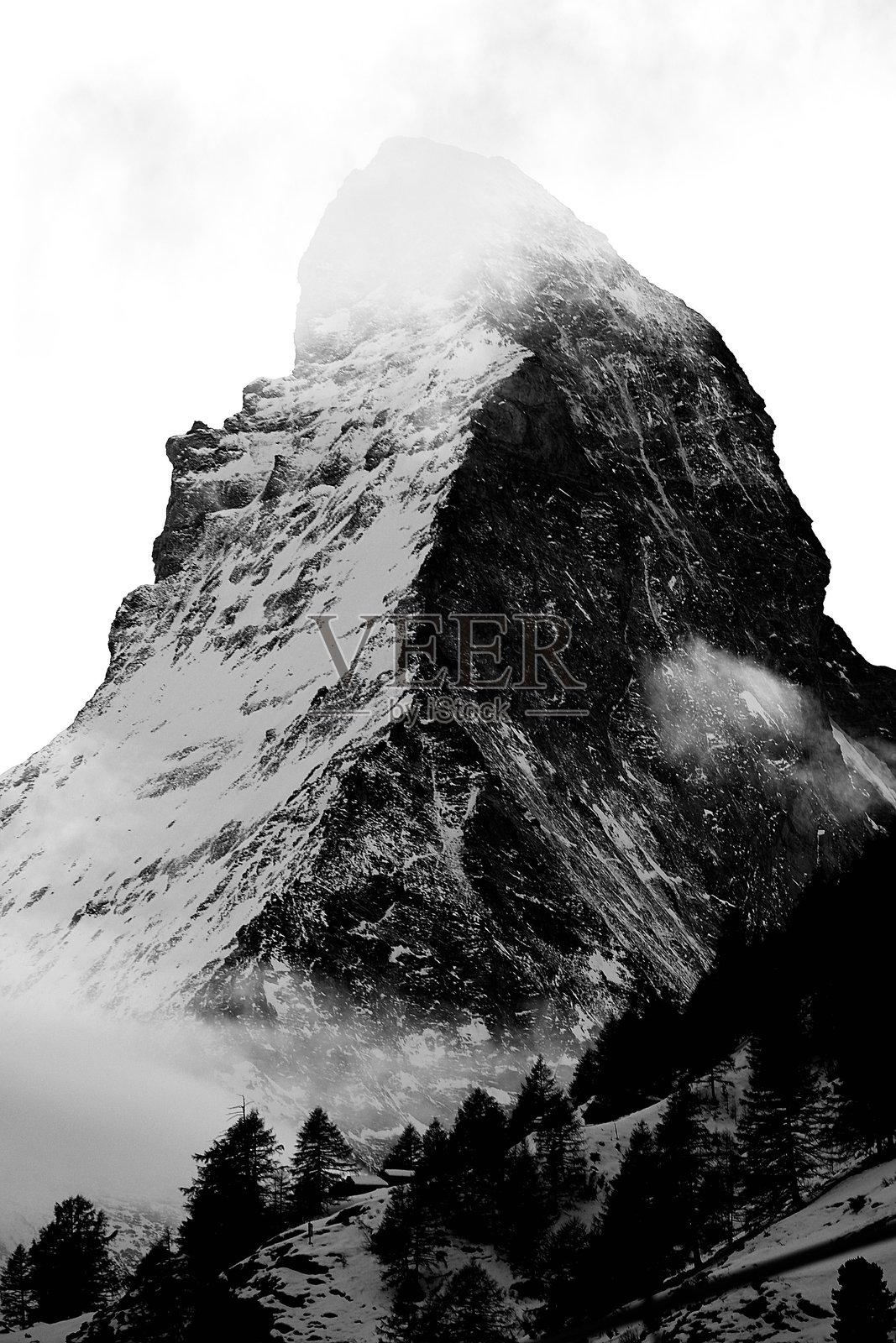 苹果照片摄影图片