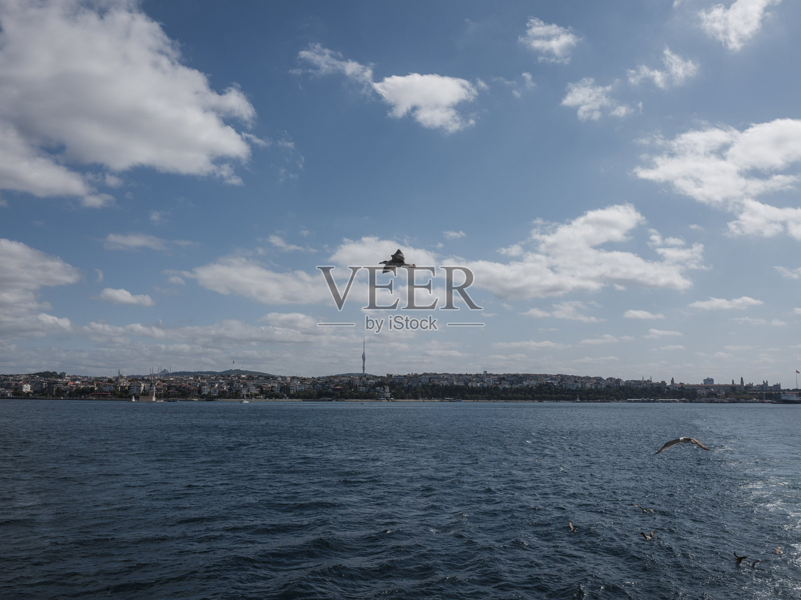 博斯普鲁斯海峡渡轮游览，可欣赏伊斯坦布尔迷人的城市景观。照片摄影图片