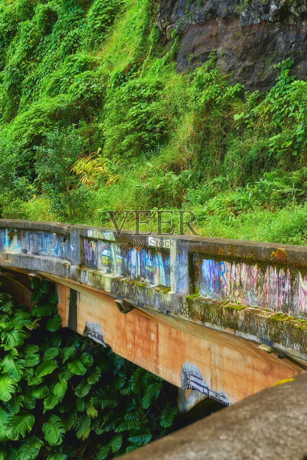 绿植覆盖的风景如画的桥梁，位于夏威夷森林小径旁，带有复杂的涂鸦细节照片摄影图片