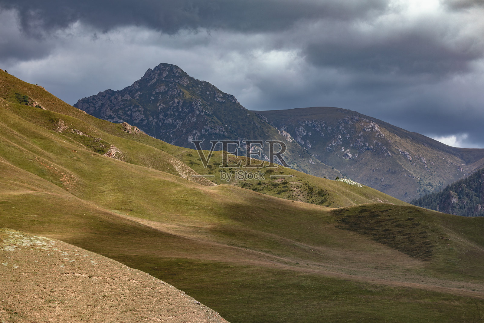 森林背景下的乡村风光照片摄影图片