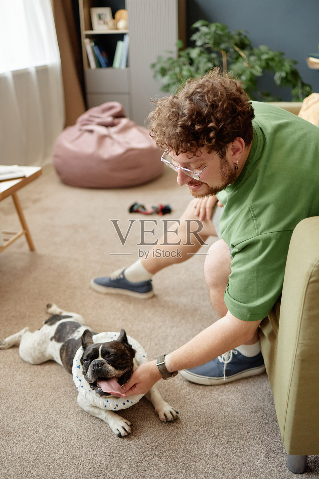 年轻男子在室内放松时抚摸法国斗牛犬照片摄影图片