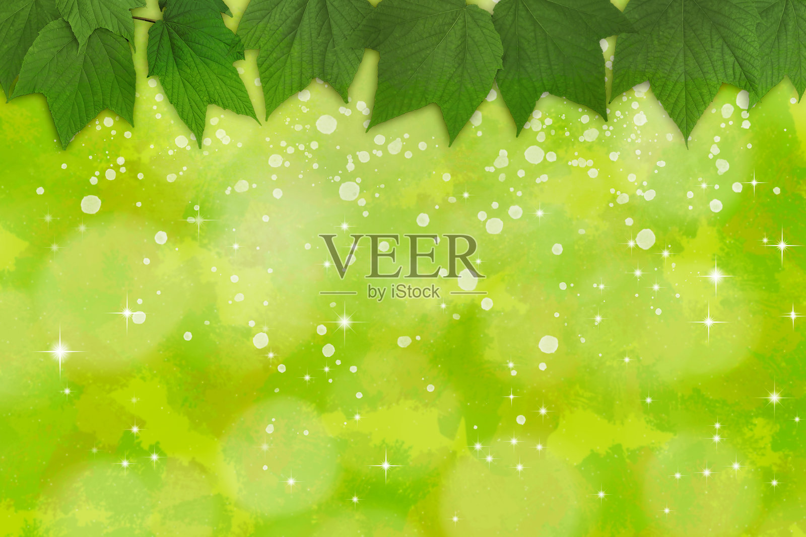 水彩背景上的叶子 - 春夏 - 复制空间插画图片素材