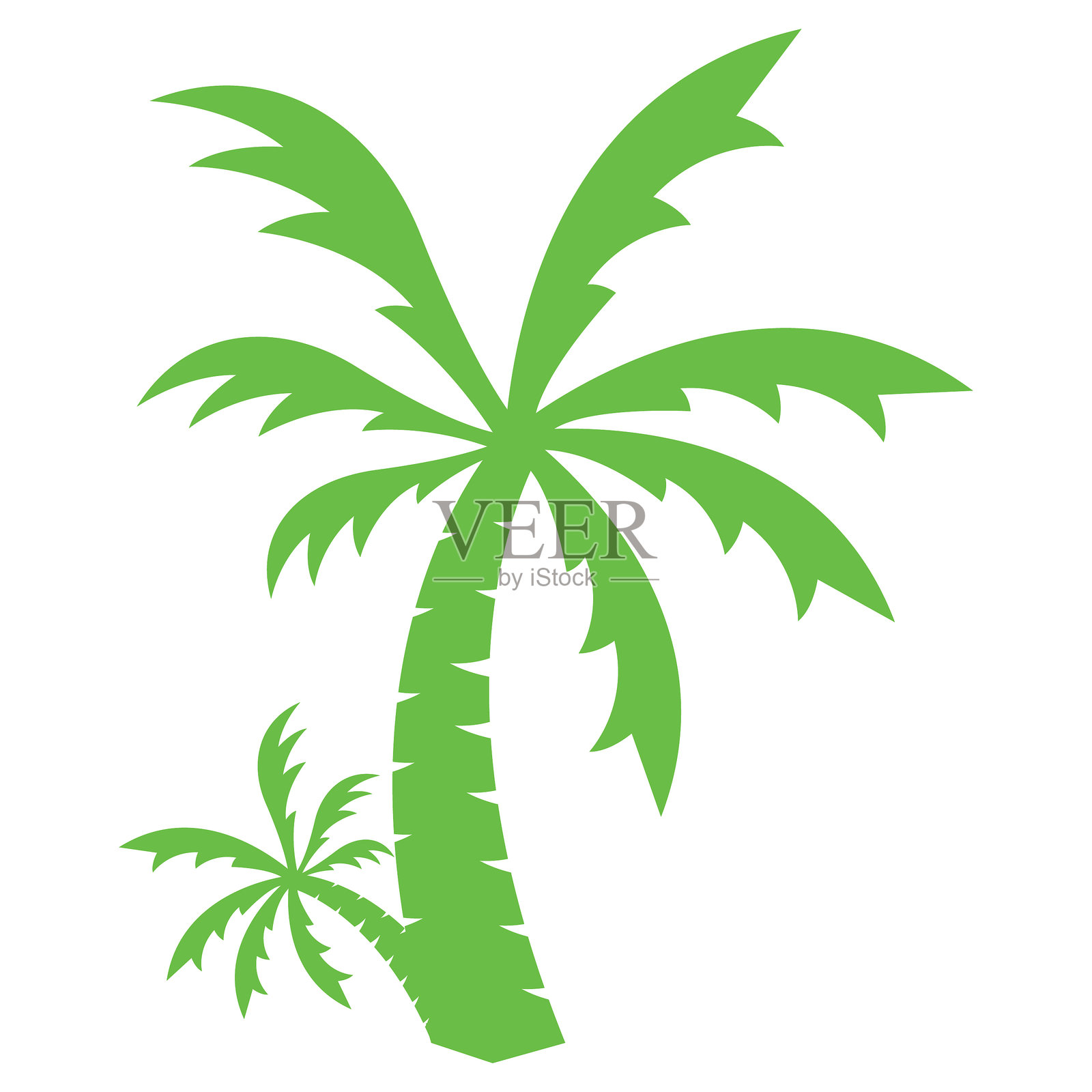 棕榈滩插画图片素材