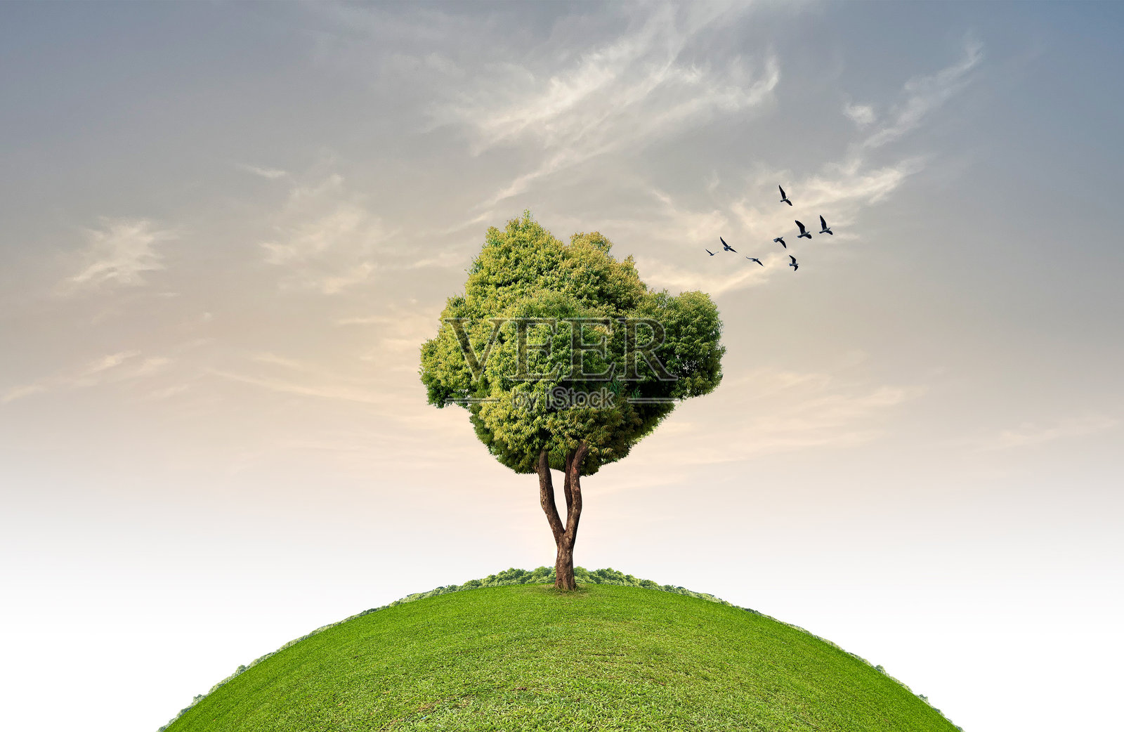 投资于我们的星球。地球日和环境日概念背景。照片摄影图片