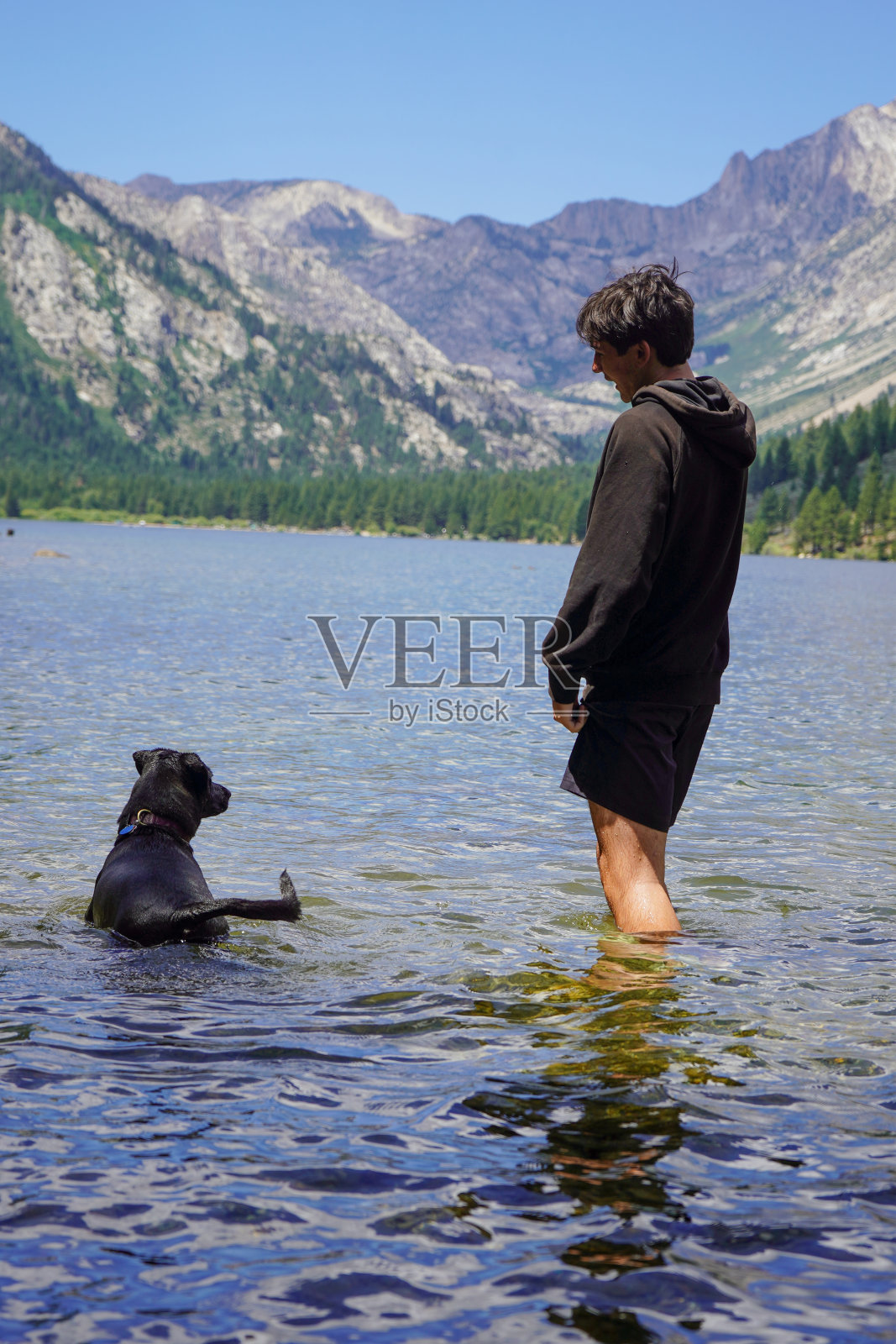 少年和他的狗在湖里照片摄影图片