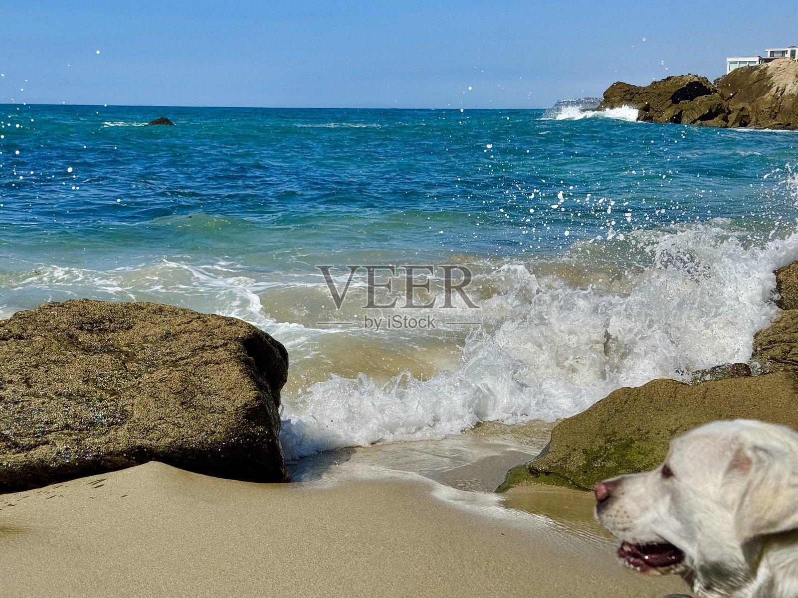 海浪与冲浪照片摄影图片