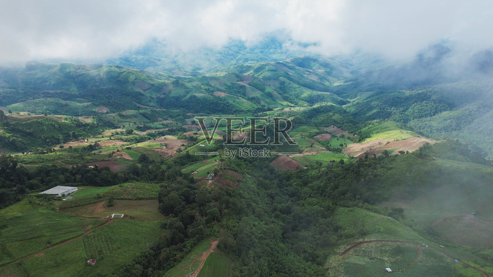 清晨无人机从空中俯瞰，雾气在山间流淌。/Aerial view of fog flowing on mountains in the morning by drone照片摄影图片
