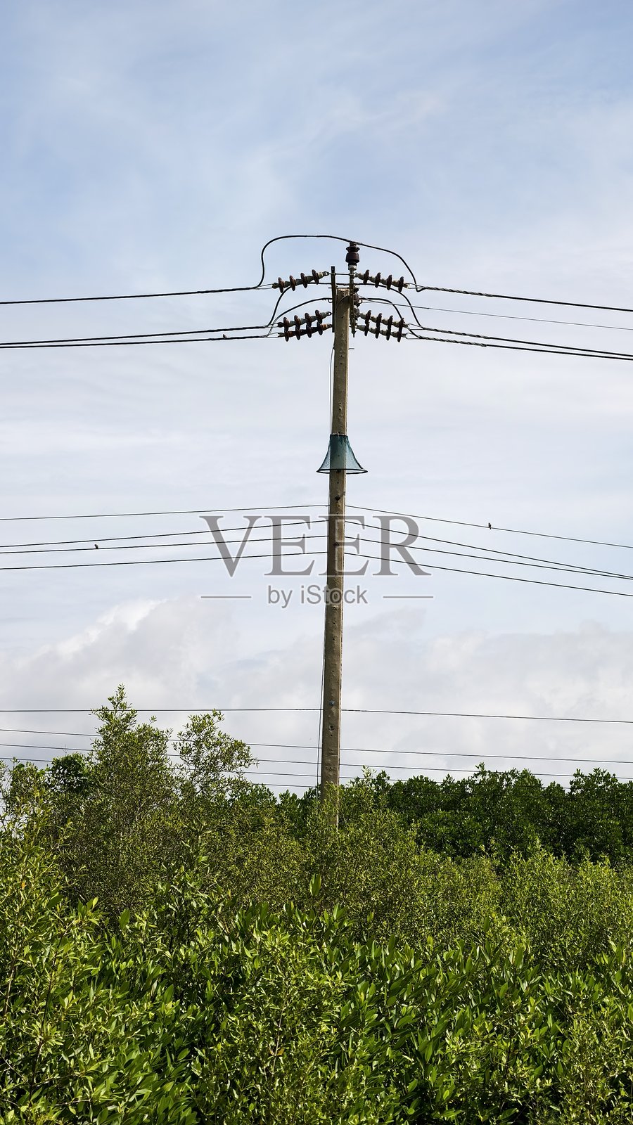 蛇形护栏网照片摄影图片