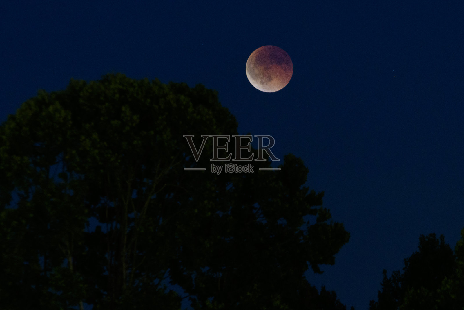 剪影树木上方的月全食照片摄影图片