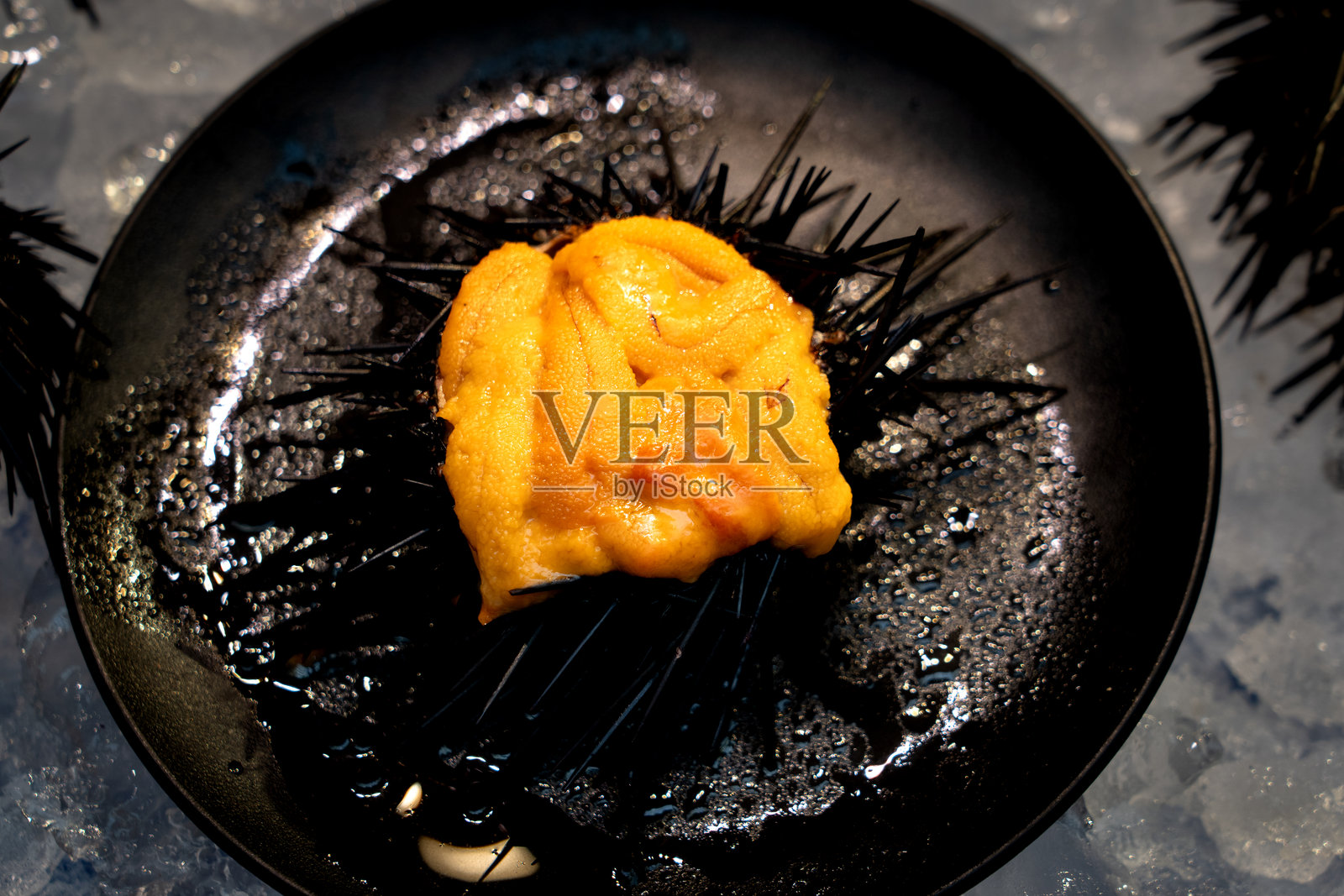 新鲜海胆配海胆盖饭，日式精致美食照片摄影图片