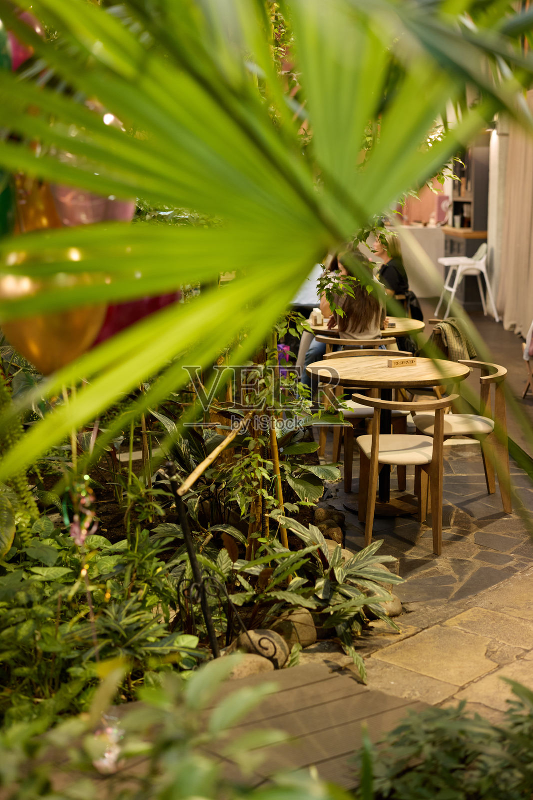郁郁葱葱的绿色植物环绕的舒适花园用餐空间照片摄影图片