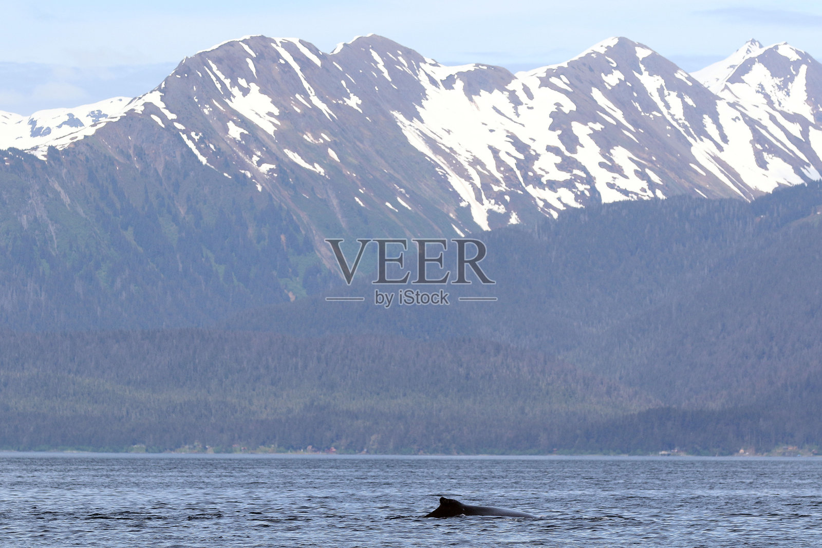 阿拉斯加照片摄影图片