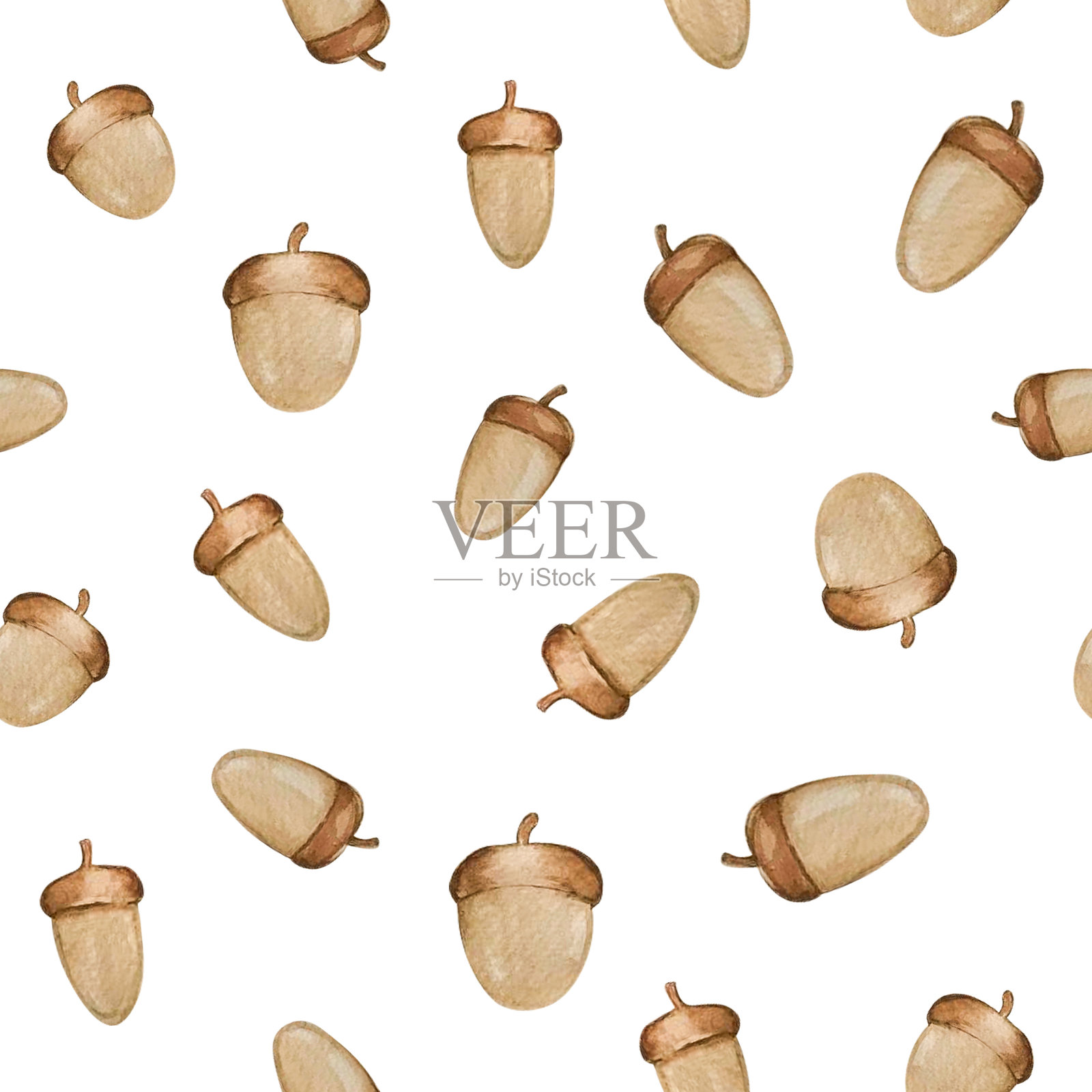 橡子水彩图案插画图片素材