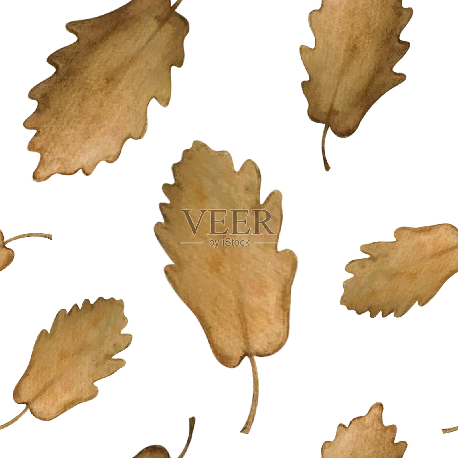 水彩橡树叶无缝图案插画图片素材