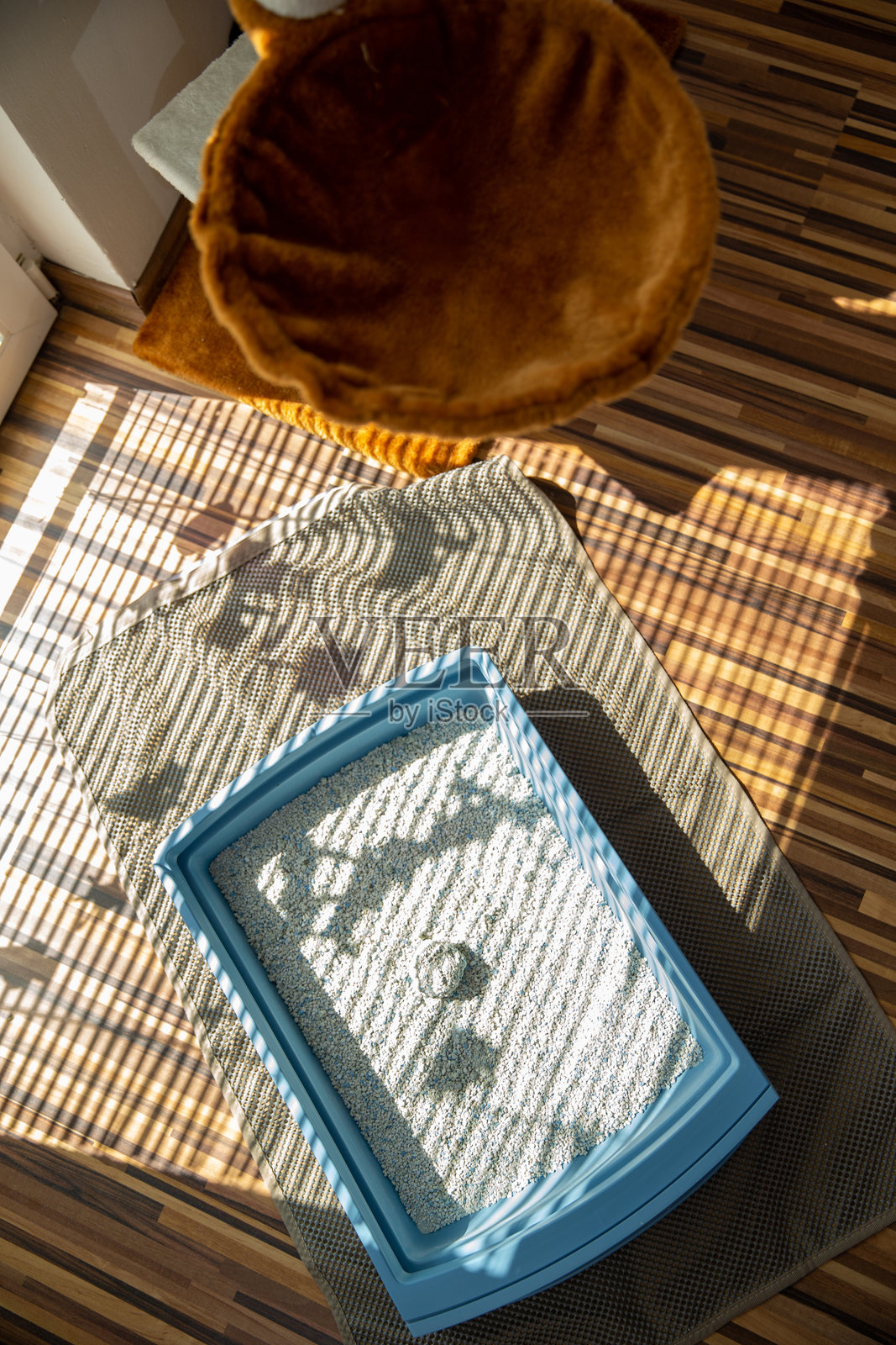 猫砂从上方看照片摄影图片