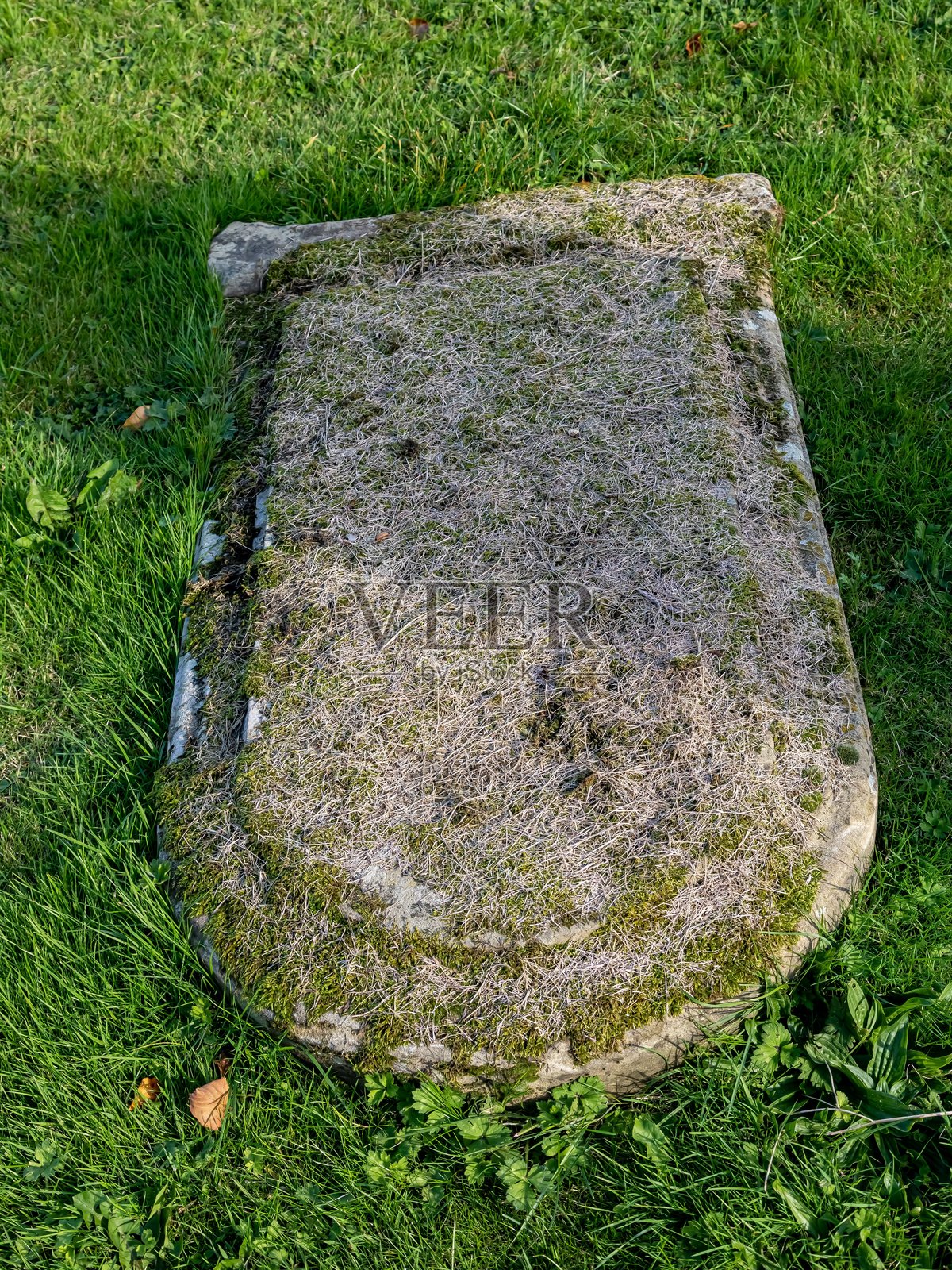 长而扁平的倒塌墓碑。照片摄影图片