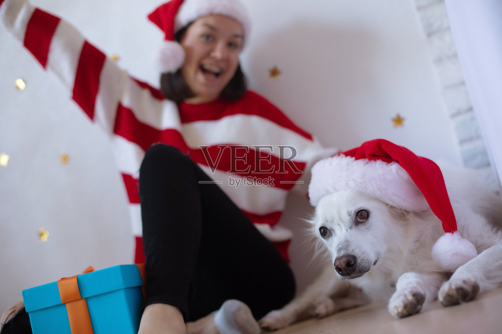 身穿红白条纹毛衣、头戴圣诞帽的喜庆女子与同样头戴圣诞帽的爱犬一同坐在蓝色礼品盒旁，在室内庆祝圣诞节。照片摄影图片