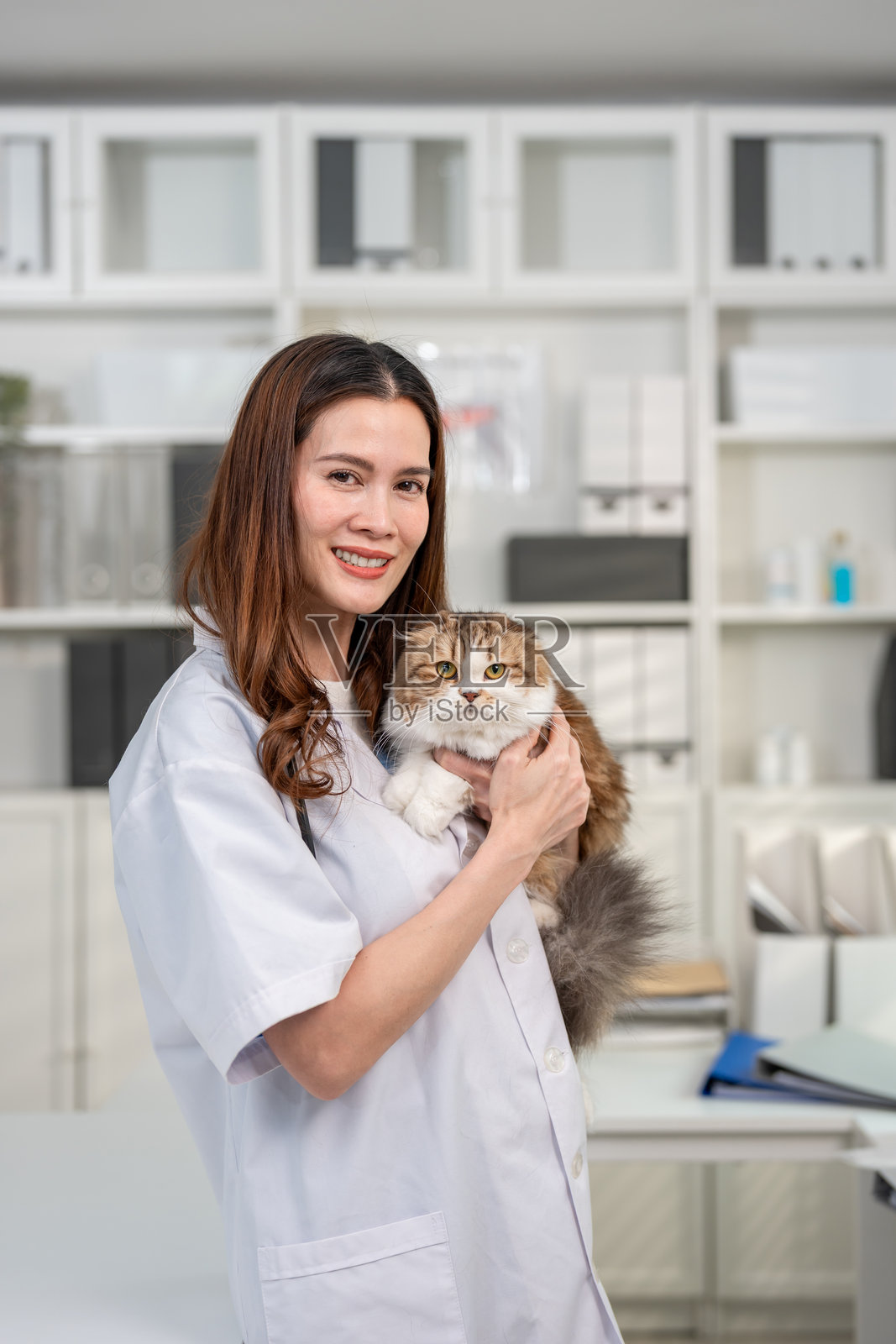 亚洲兽医在兽医诊所检查波斯猫的肖像。一位有魅力的医生在体检时，手中抱着一只毛茸茸的家猫，看着镜头，进行宠物医院的医疗保健检查。照片摄影图片