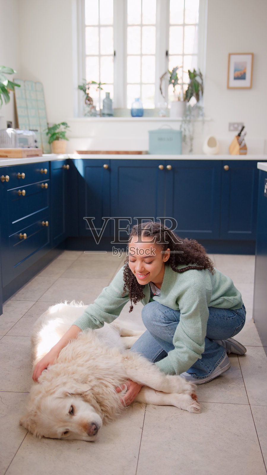 少女在家里的厨房抚摸着趴在地上的宠物金毛猎犬。照片摄影图片