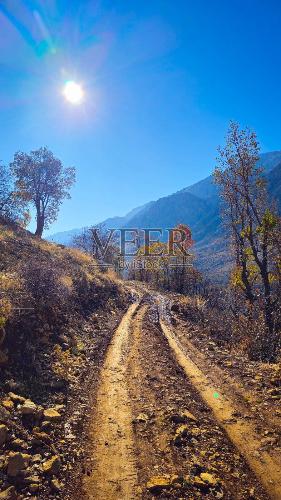 阳光下的秋季土路照片摄影图片