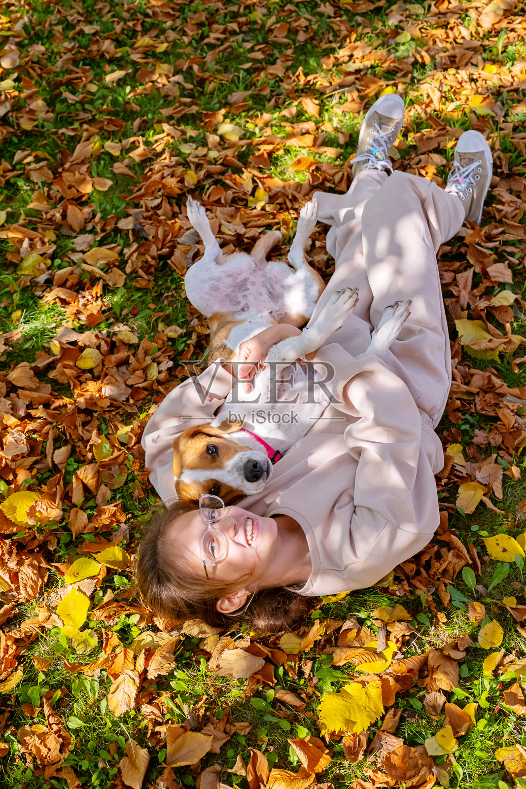 女孩躺在秋叶中与她的狗一起看着镜头，快乐的宠物主人。照片摄影图片