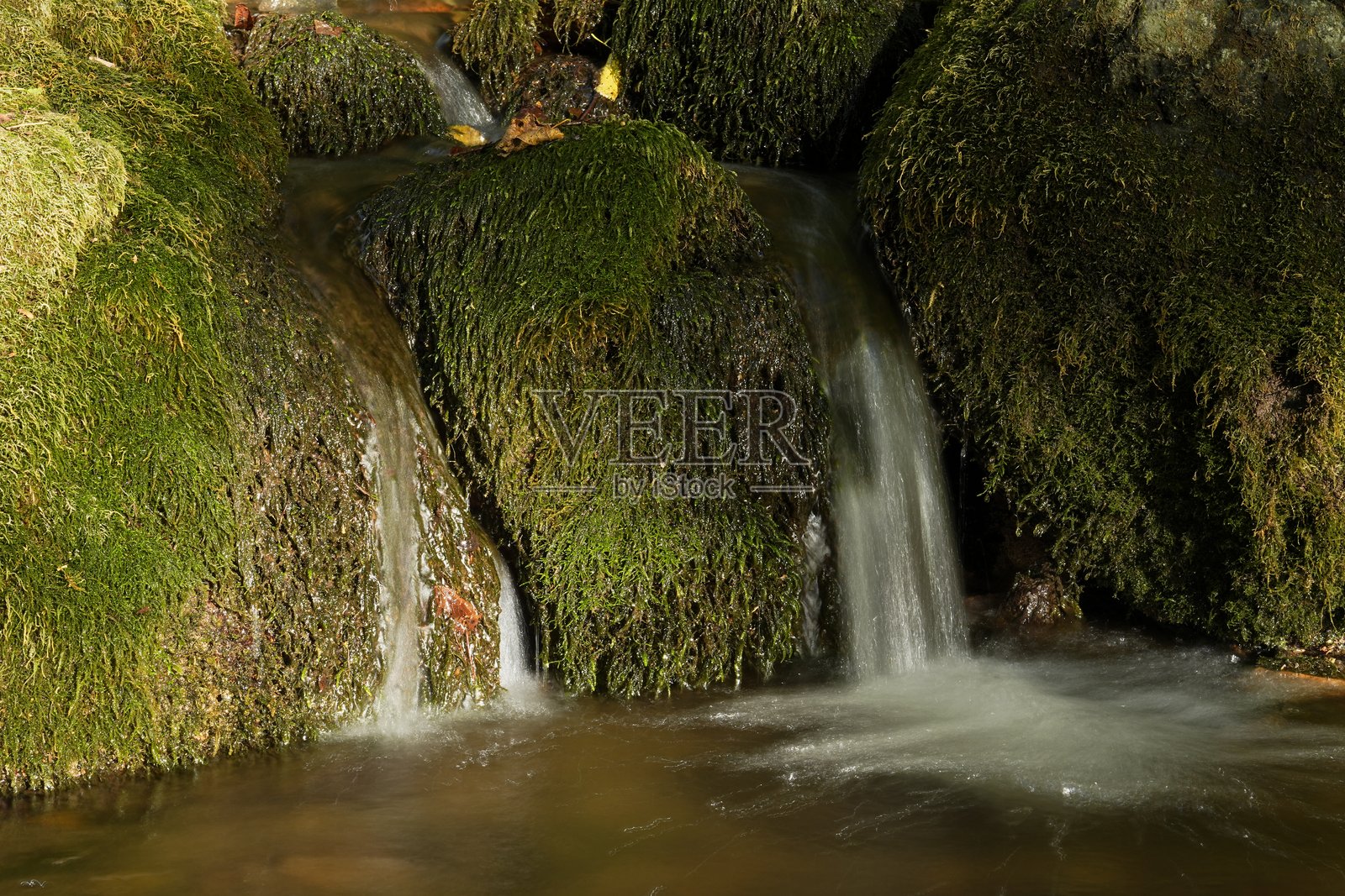 宁静的小瀑布从长满苔藓的岩石上流下，流淌在原始的森林中照片摄影图片