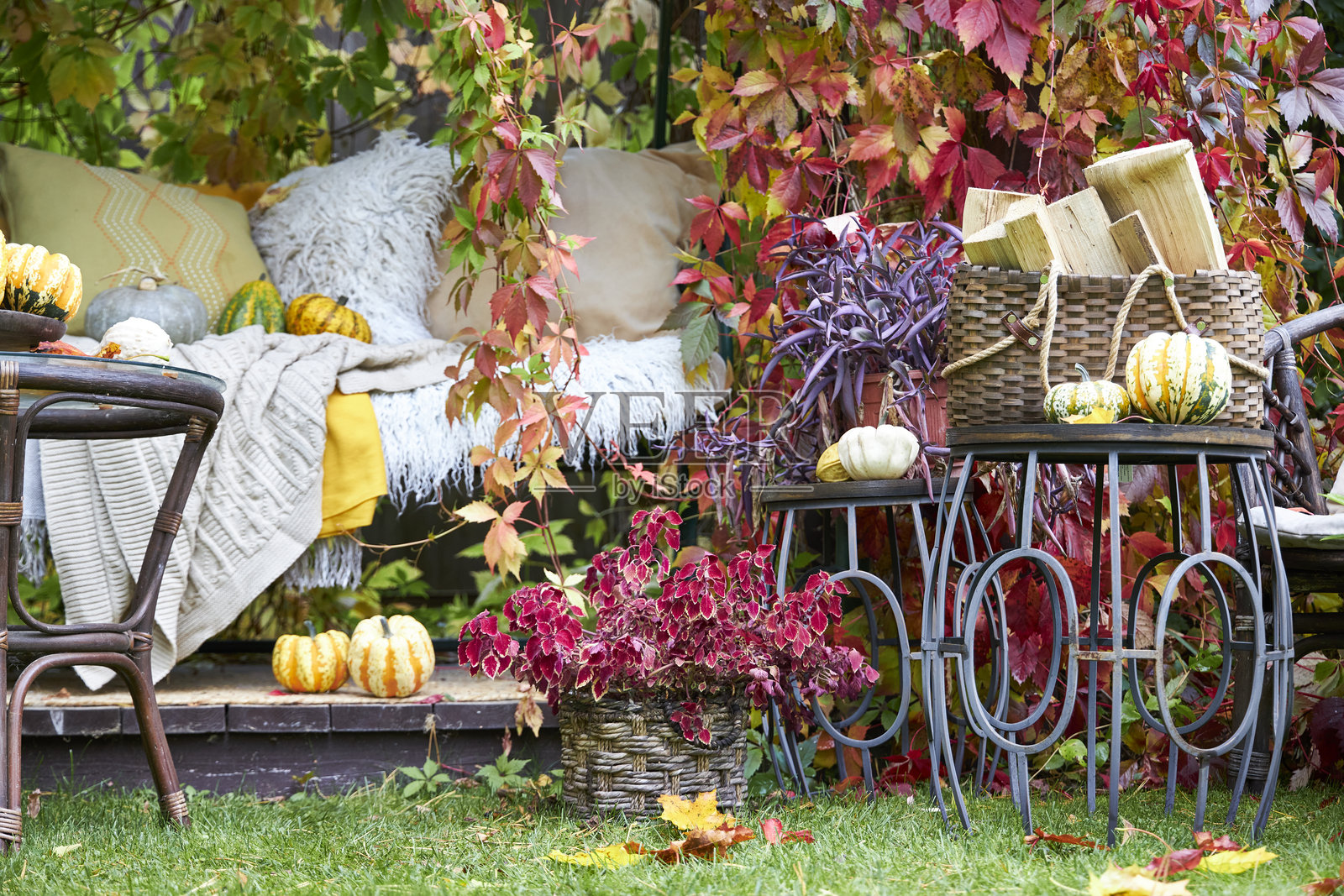 秋日花园秋千，装饰着色彩斑斓的藤蔓叶子、南瓜、靠垫和舒适的毯子。带有舒适氛围的质朴季节性户外装饰，为秋季生活方式提供灵感。照片摄影图片