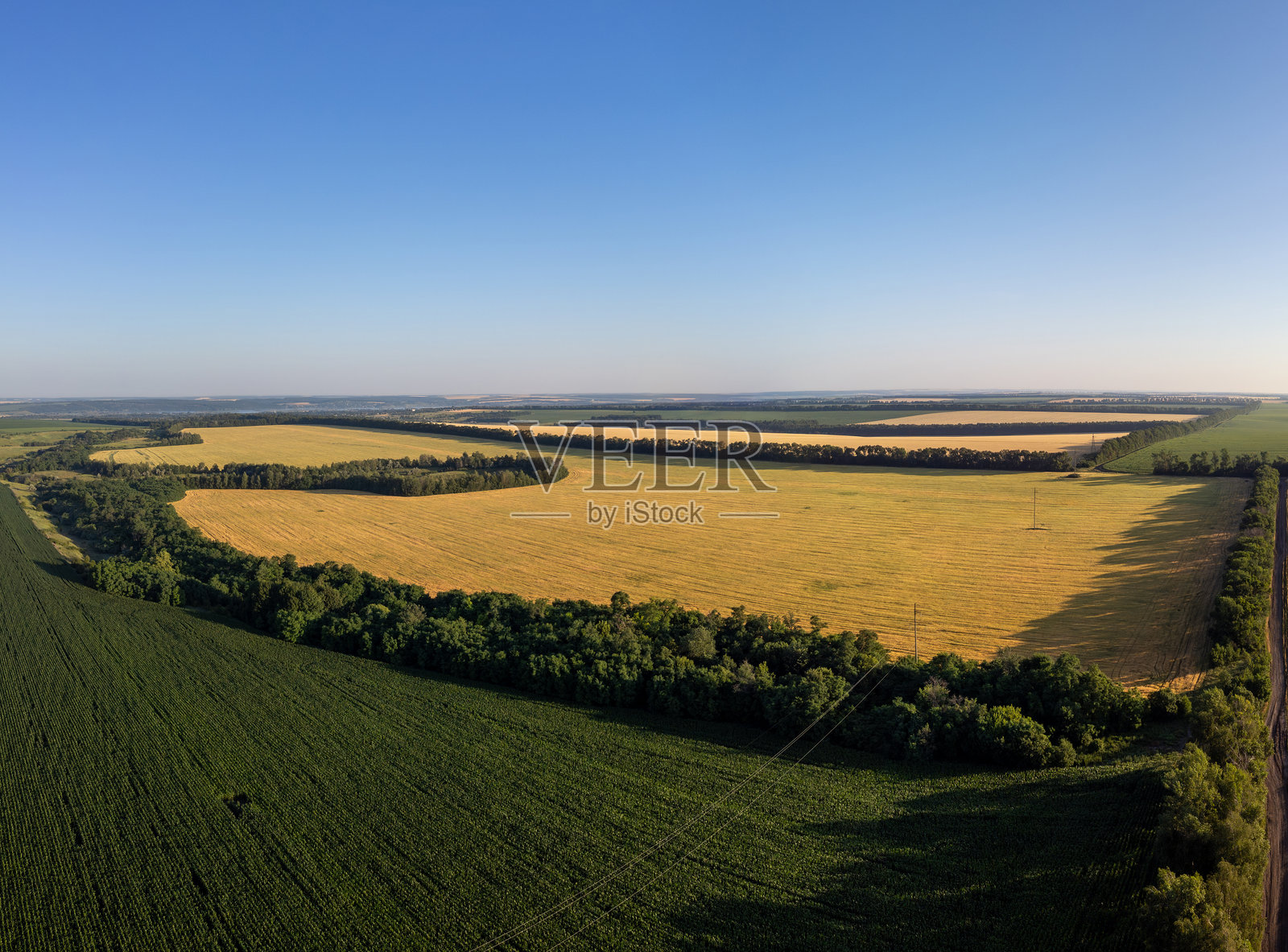 空中俯瞰的金色和绿色夏季农田照片摄影图片
