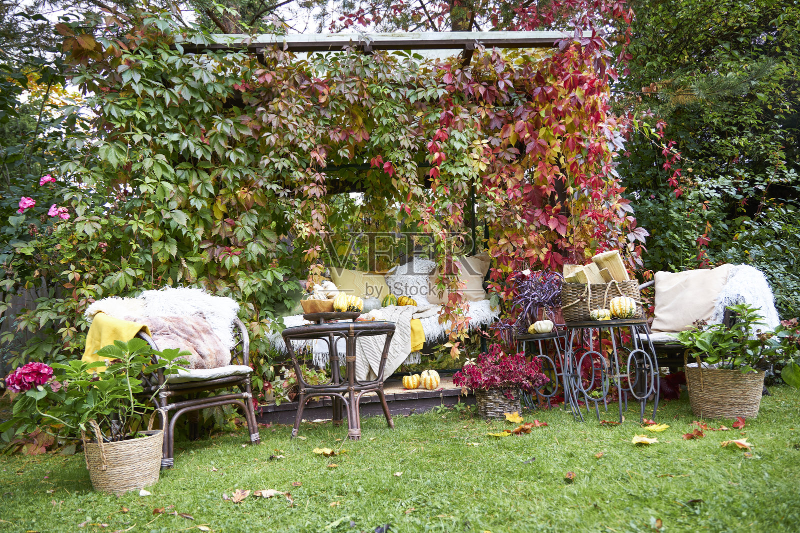 舒适的秋季户外装饰，配有南瓜、彩色树叶、靠垫和毯子。充满季节性的温馨氛围，质朴的花园景象，非常适合秋季生活、丰收、感恩节和家居装饰等主题。照片摄影图片