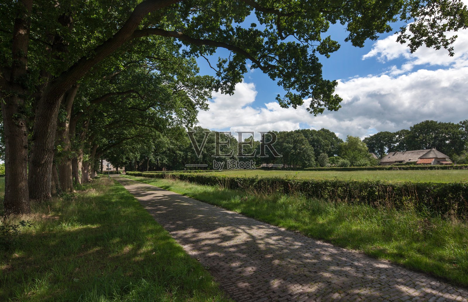 荷兰乡村风景中的历史农舍。照片摄影图片
