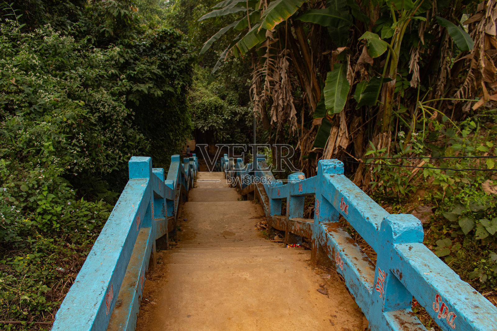 一条狭窄的混凝土楼梯，配有亮蓝色的扶手，通向萨杰克谷茂密森林的深处。照片摄影图片