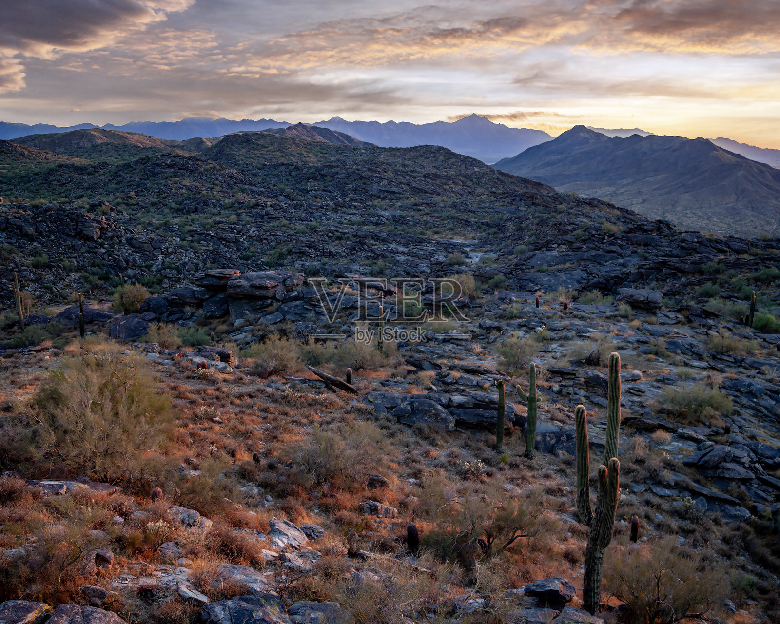 凤凰城亚利桑那州附近的沙漠日落照片摄影图片