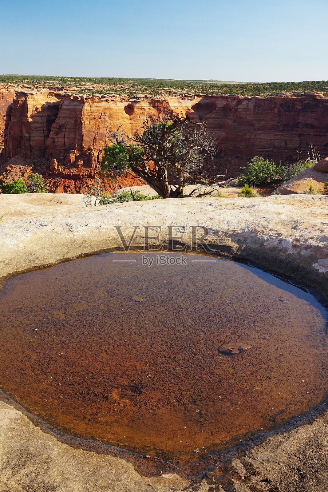 犹他州死亡马匹点州立公园的边缘瞭望步道。水坑、仙人掌和悬崖景色。照片摄影图片