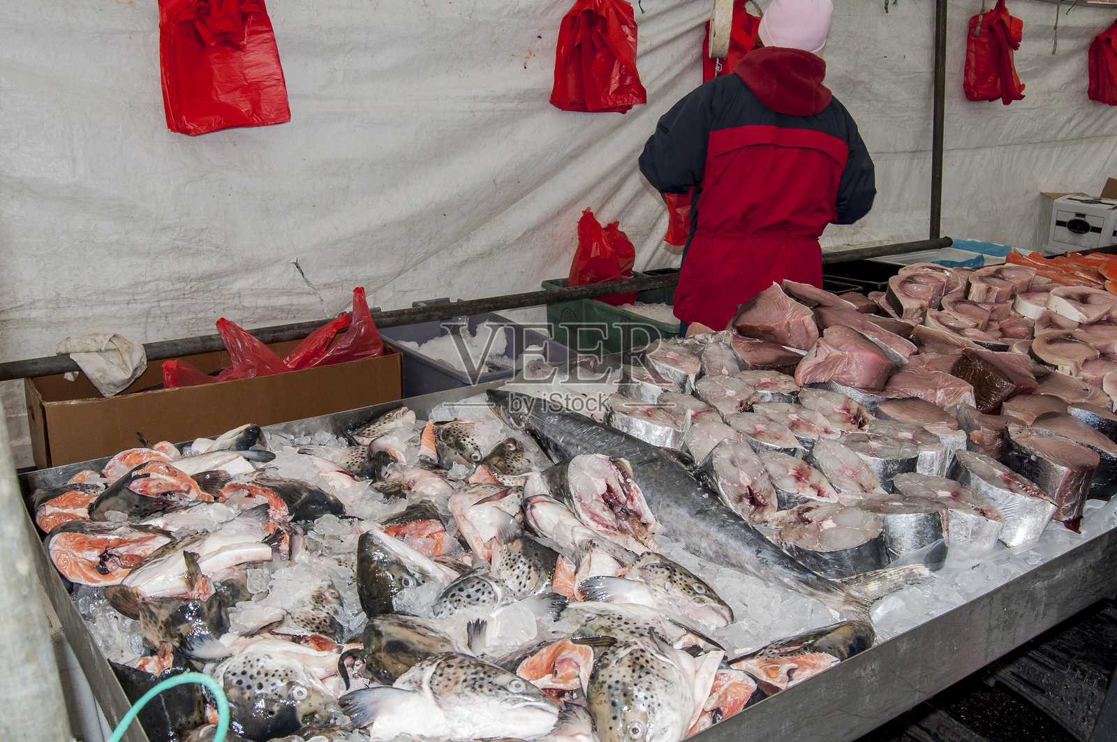海市场鱼市照片摄影图片