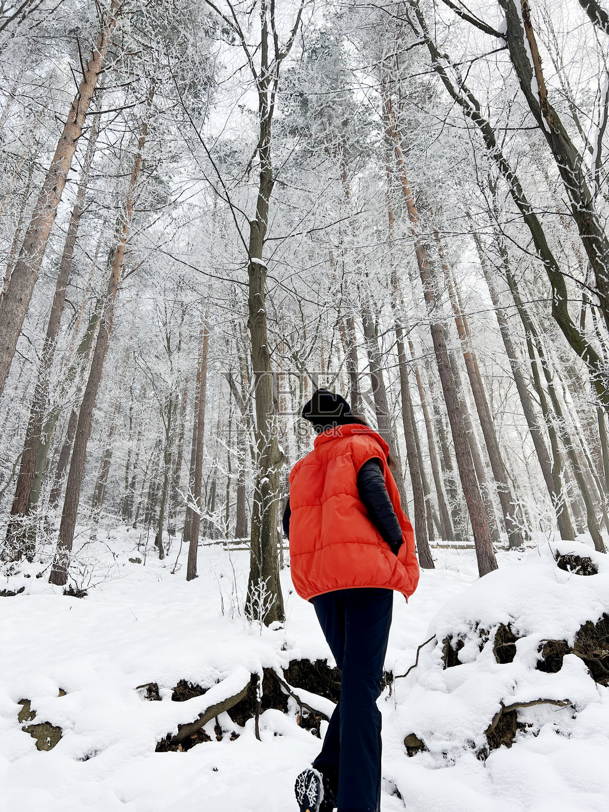 冬季雪林中的女性。仰视视角。照片摄影图片