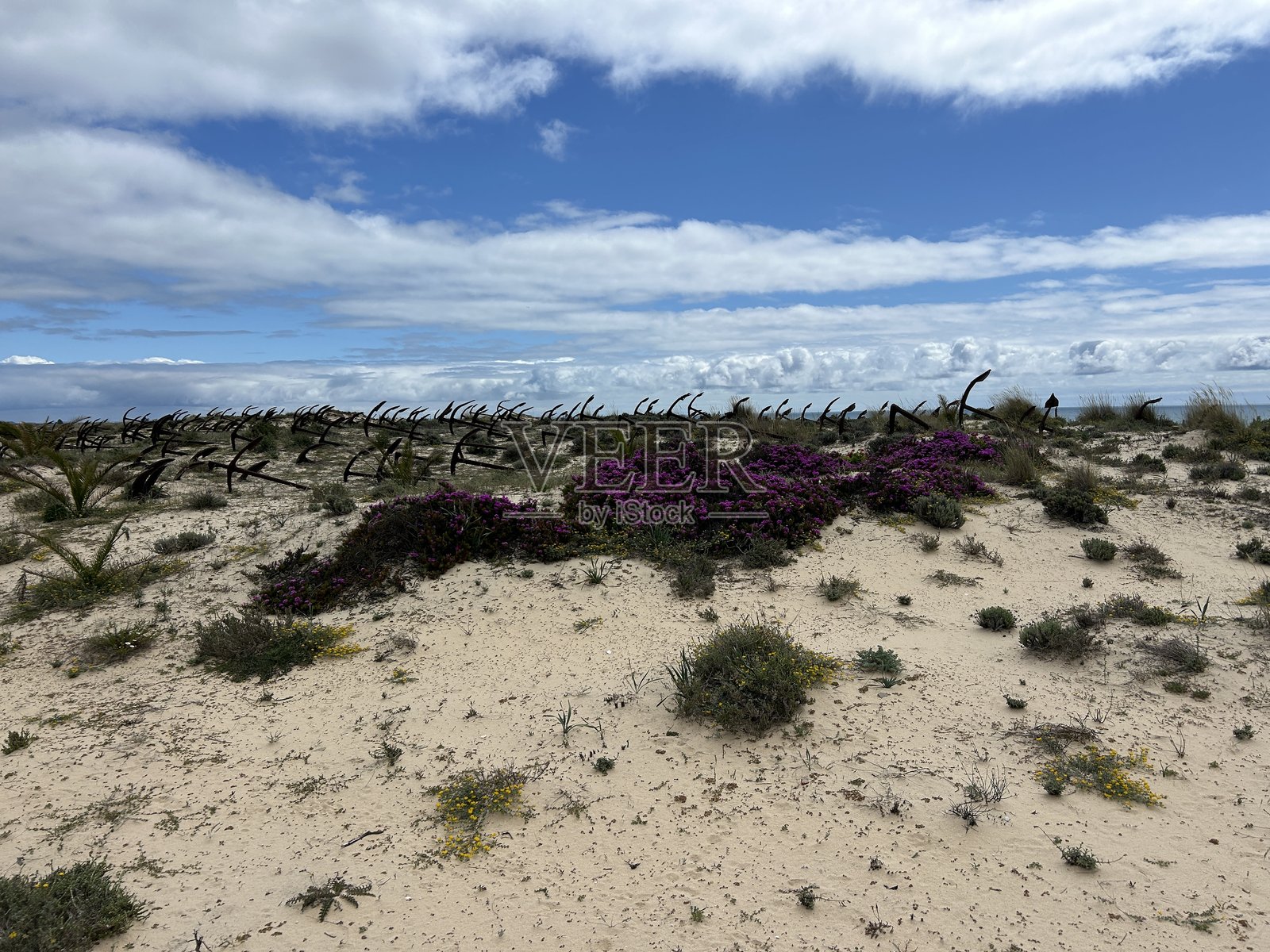 巴里尔海滩照片摄影图片