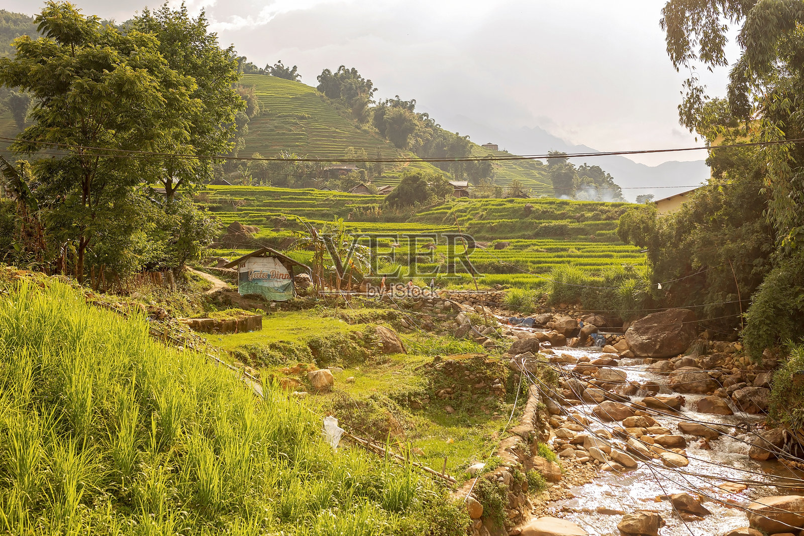 一家人带着孩子，可爱的金发男孩，参观沙坝稻田照片摄影图片