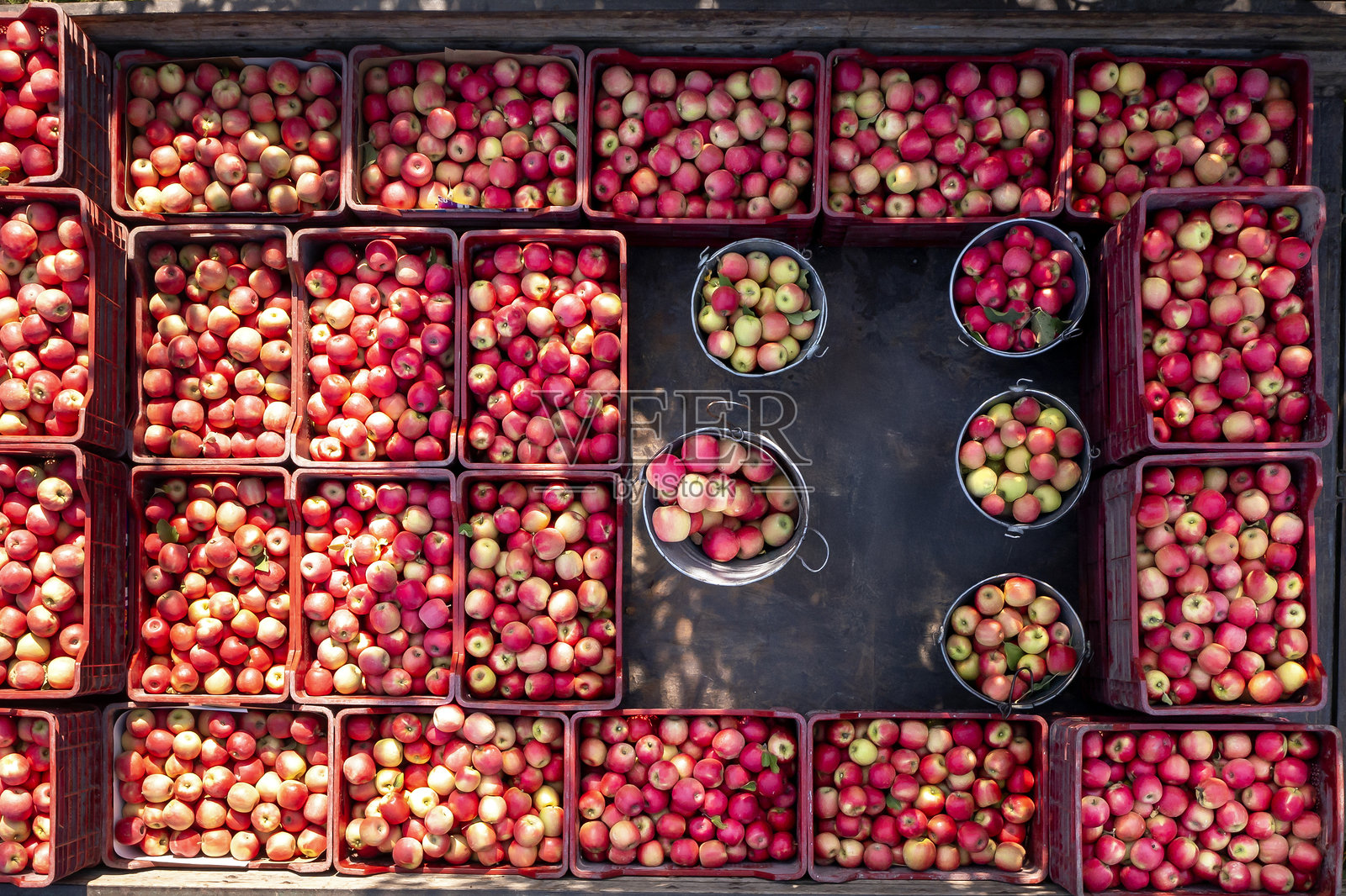 安纳托利亚的农业：温室种植、露天农产品、果蔬种植和谷物种植的各种农产品。在肥沃的土地上进行生产和耕作。照片摄影图片