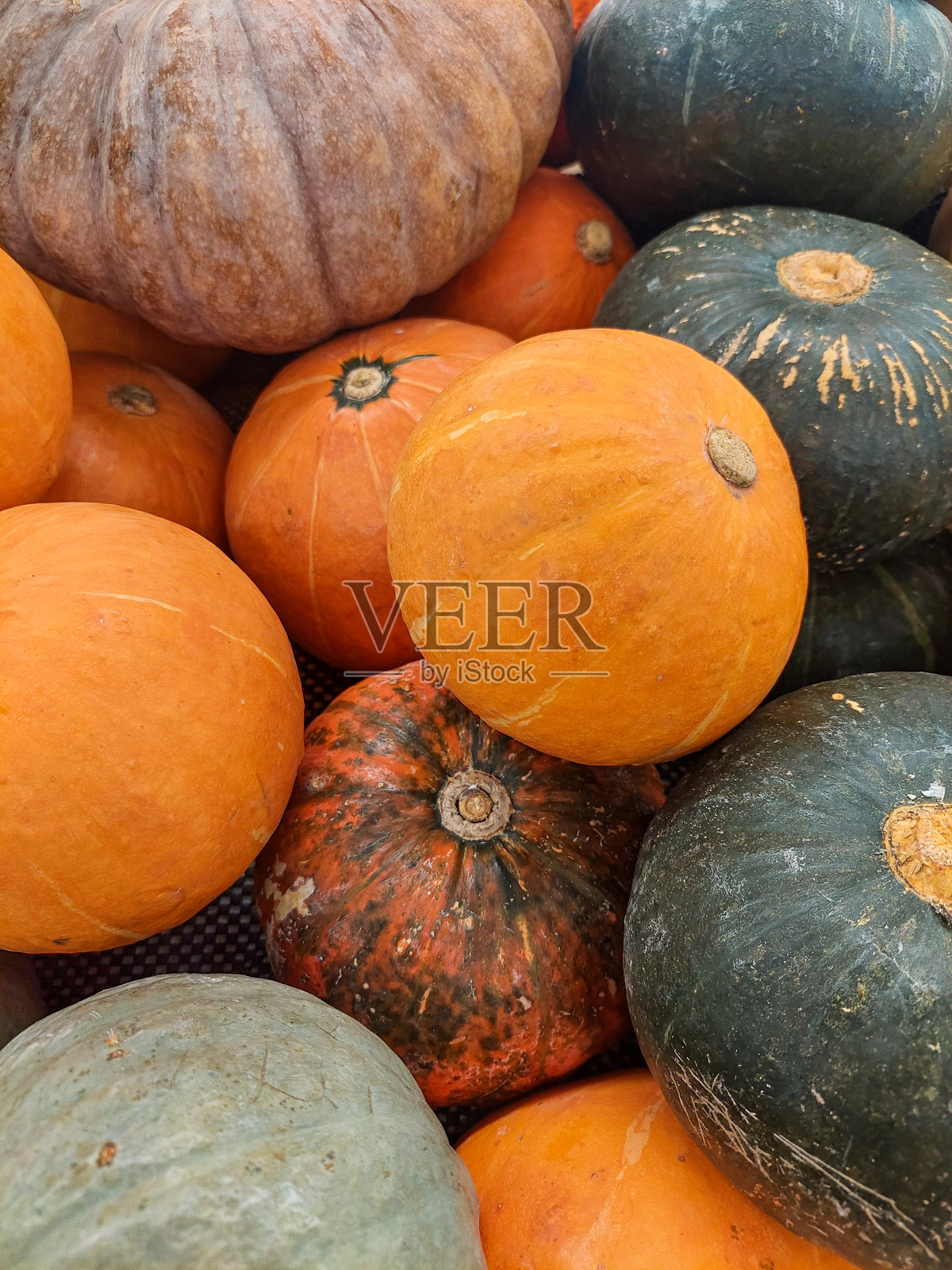 橙色和绿色的南瓜照片摄影图片