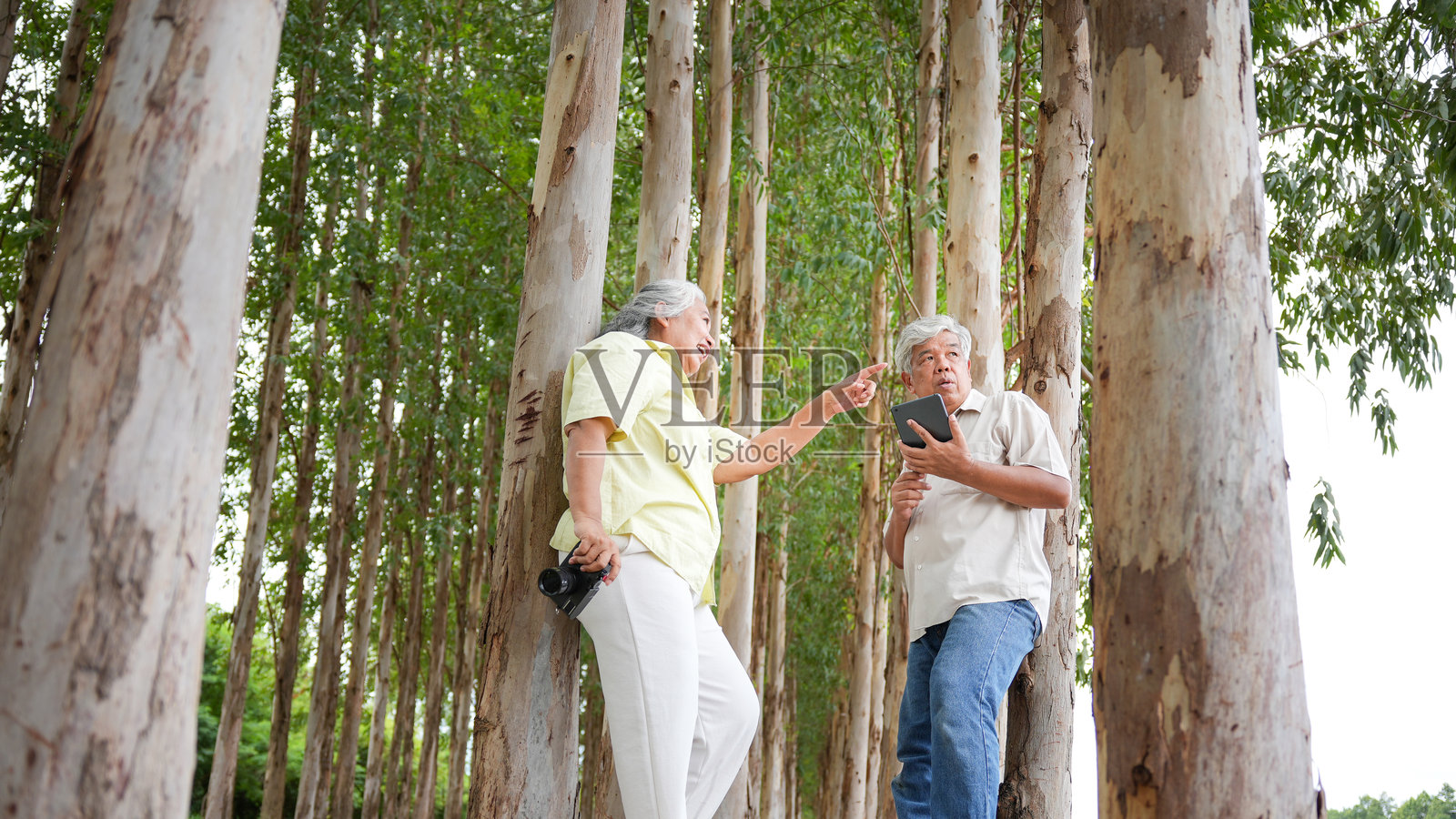 一对老年夫妇正在用平板电脑讨论生态和自然，这对亚洲老年夫妇正在探索森林种植园并拍照，快乐的祖父母在树林中散步时使用科技。照片摄影图片