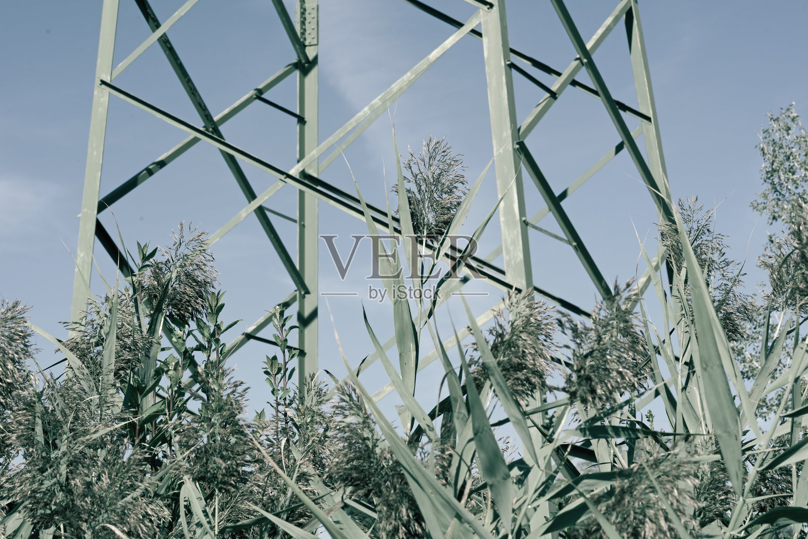 芦苇和塔架几何照片摄影图片