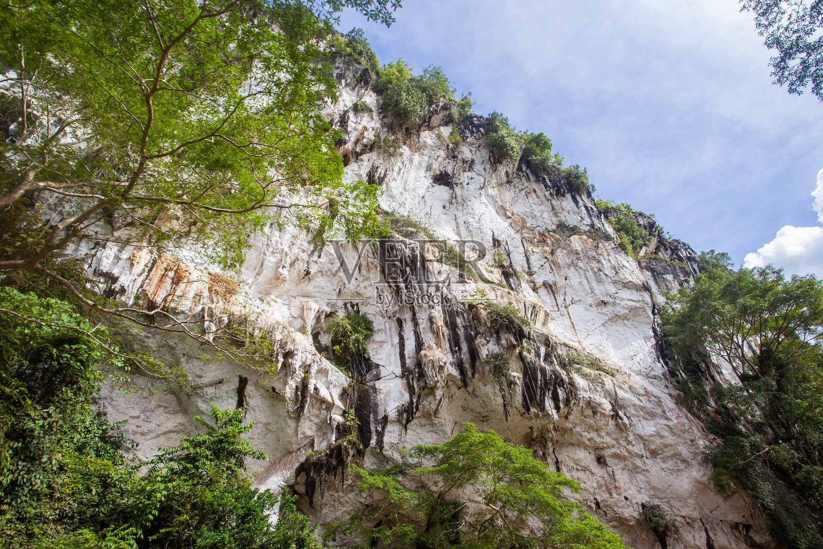 印度尼西亚婆罗洲，东库泰县巴图阿吉喀斯特地区壮丽的石灰岩悬崖，属于桑库利朗-曼加利哈特喀斯特生态系统的一部分。茂密的雨林植被生长在陡峭的岩壁上。照片摄影图片