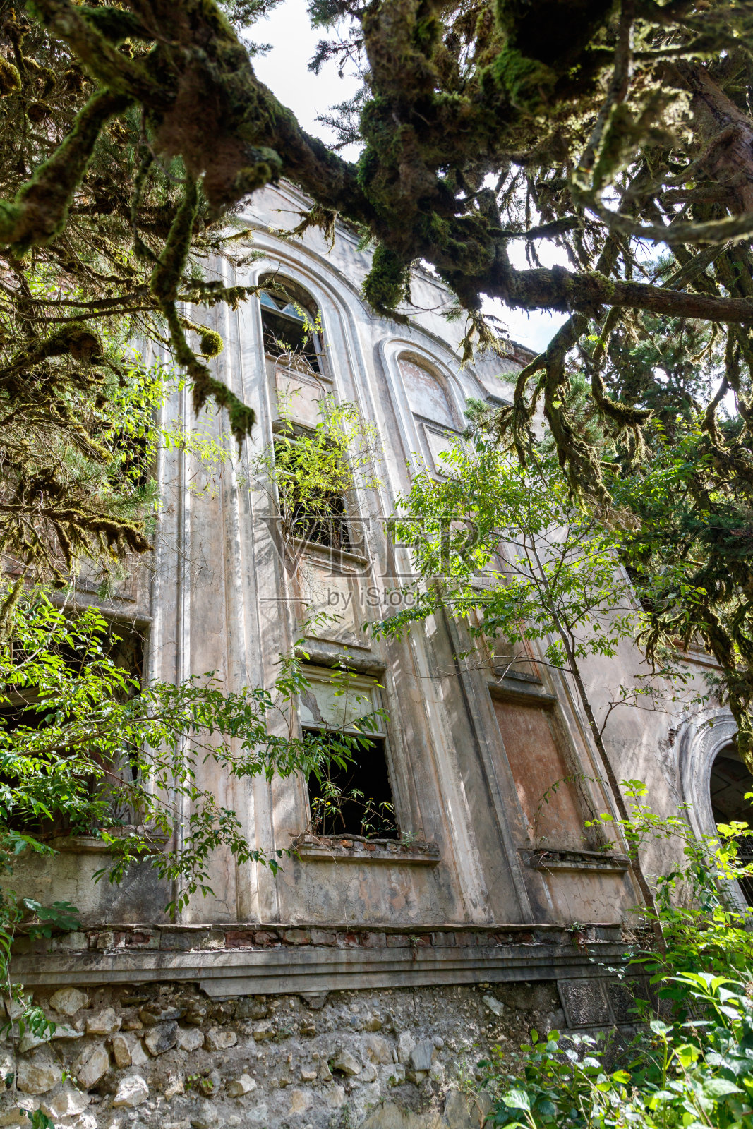 长满苔藓的建筑照片摄影图片