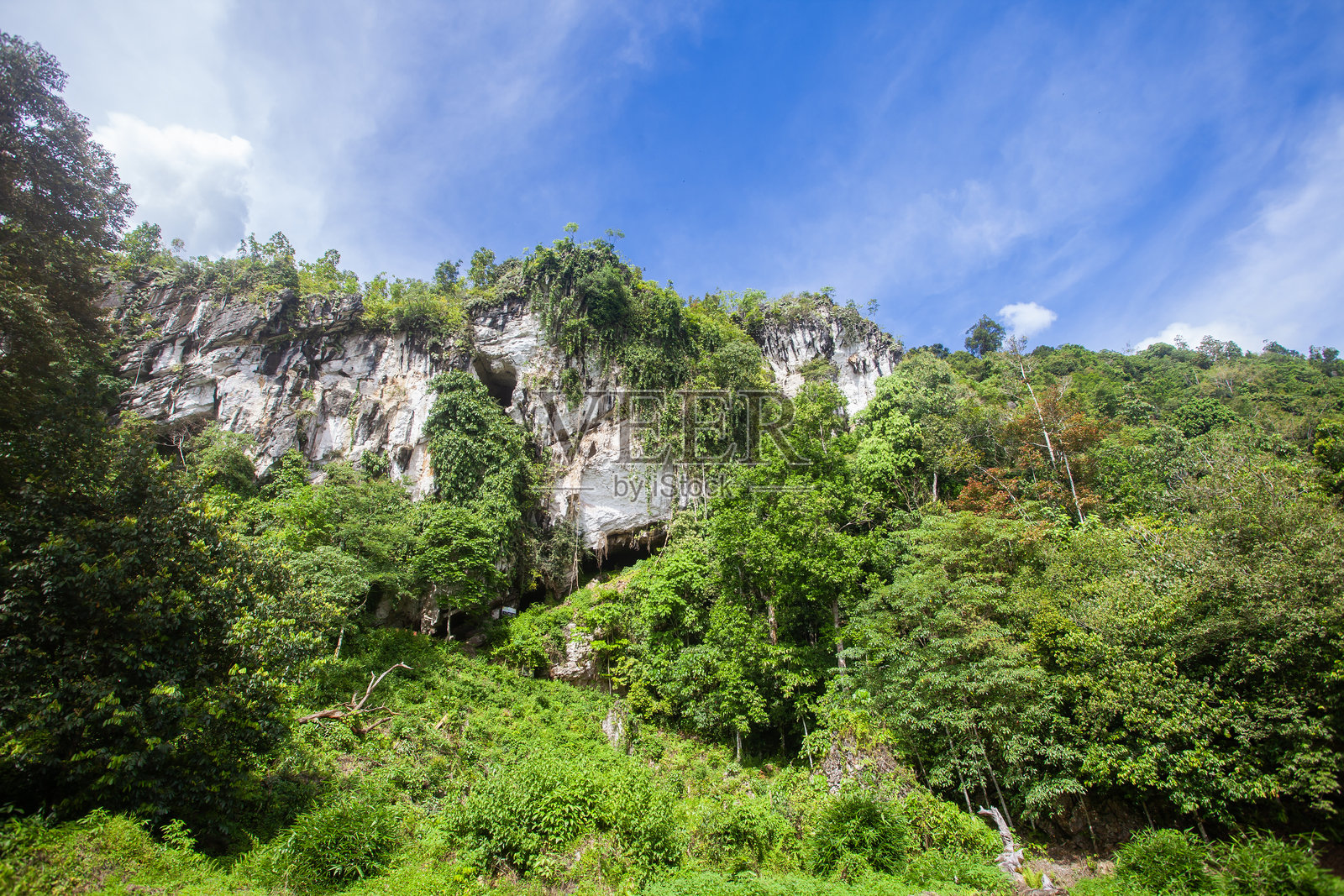 印度尼西亚婆罗洲Sangkulirang-Mangkalihat喀斯特地貌区东库泰Batu Aji喀斯特地貌壮丽的石灰岩悬崖，茂密的热带雨林植被生长在陡峭的岩壁上。照片摄影图片