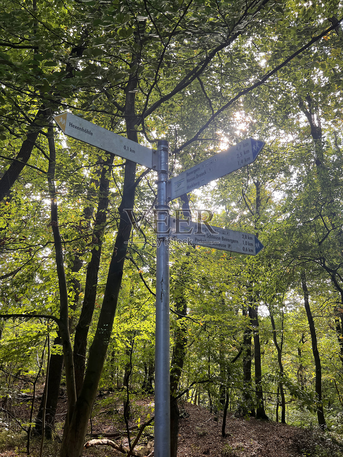 德国北莱茵-威斯特法伦州森林中的路线指示牌照片摄影图片