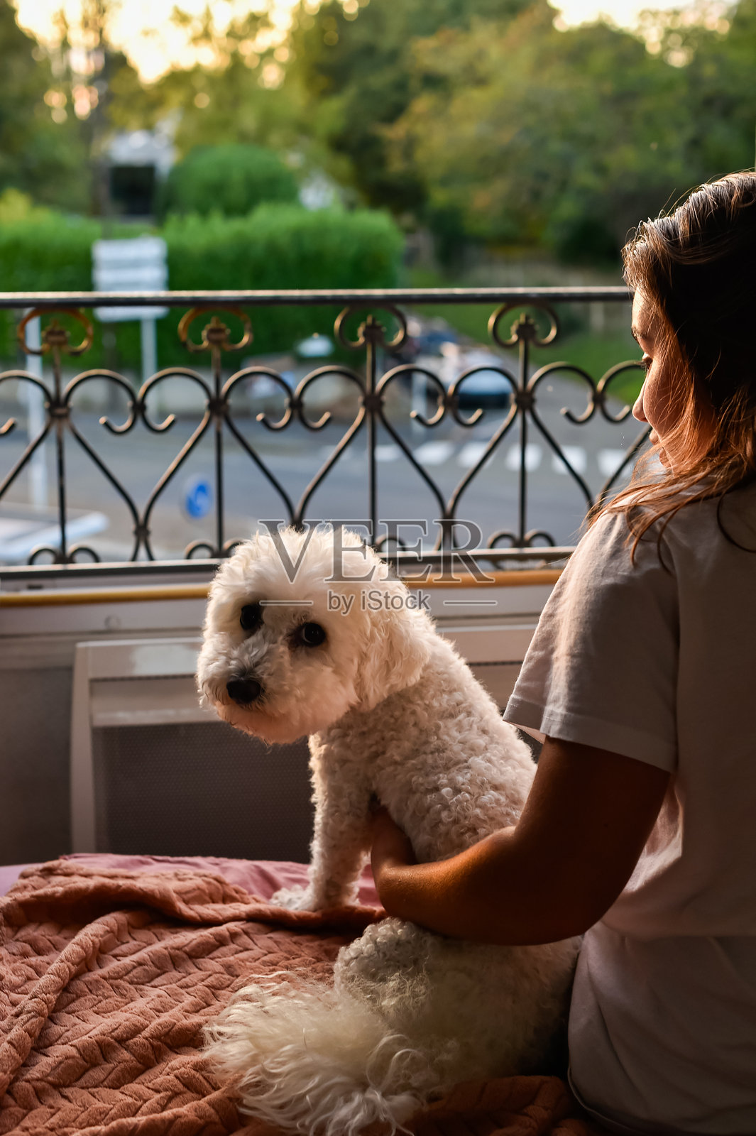 玩乐的分心：狗狗从窗户转向镜头照片摄影图片