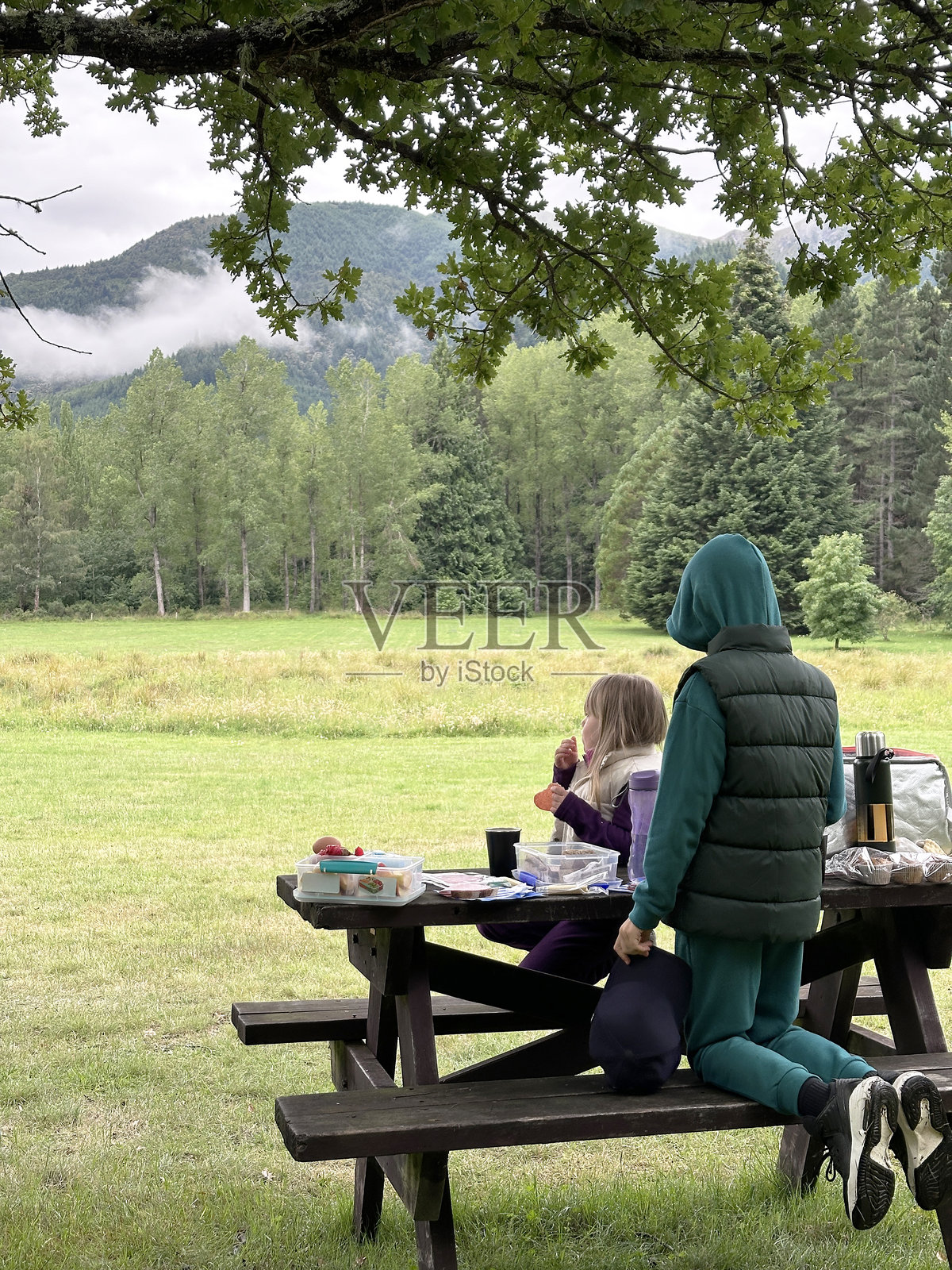 风景优美的山间草地上，朋友们享受着宁静的野餐。照片摄影图片