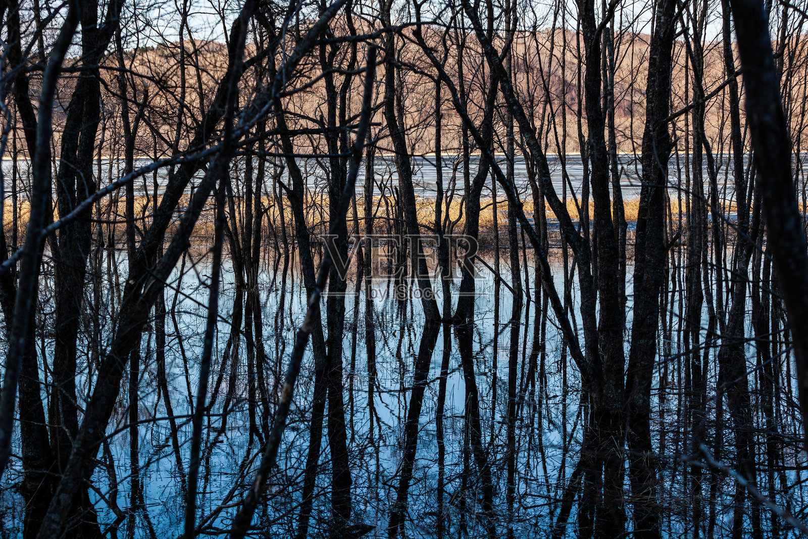 春天的塔科布湖照片摄影图片